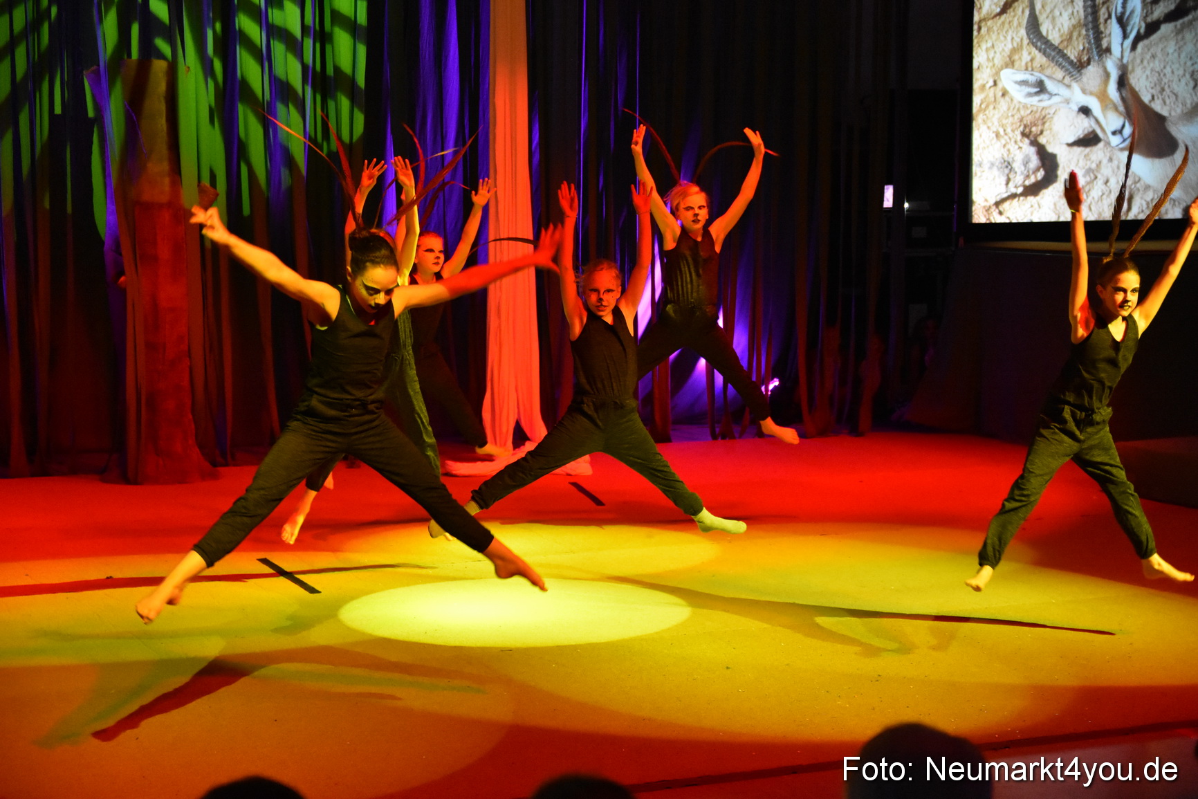Hakuna Matata Circusverein 010416 0061