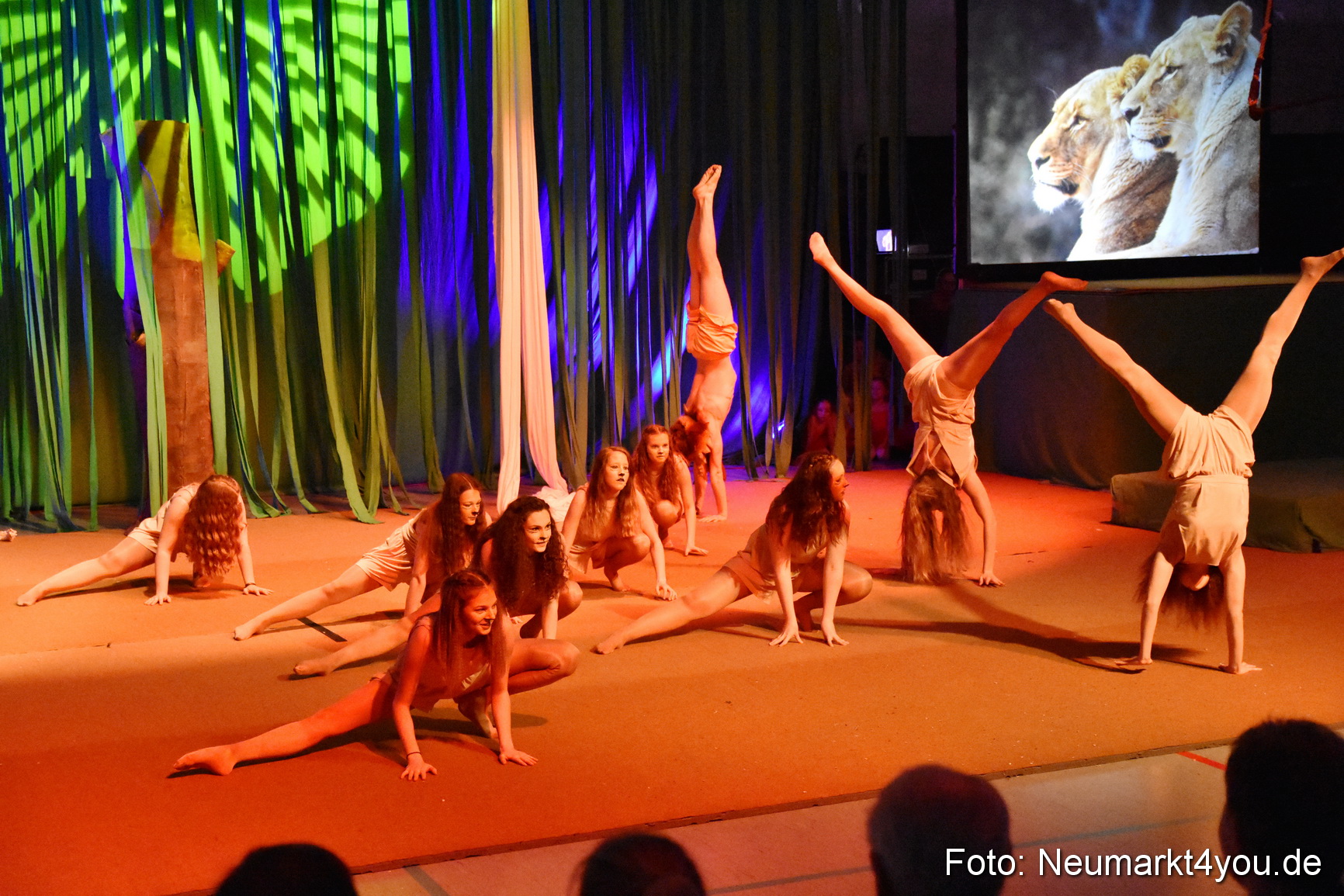 Hakuna Matata Circusverein 010416 0094