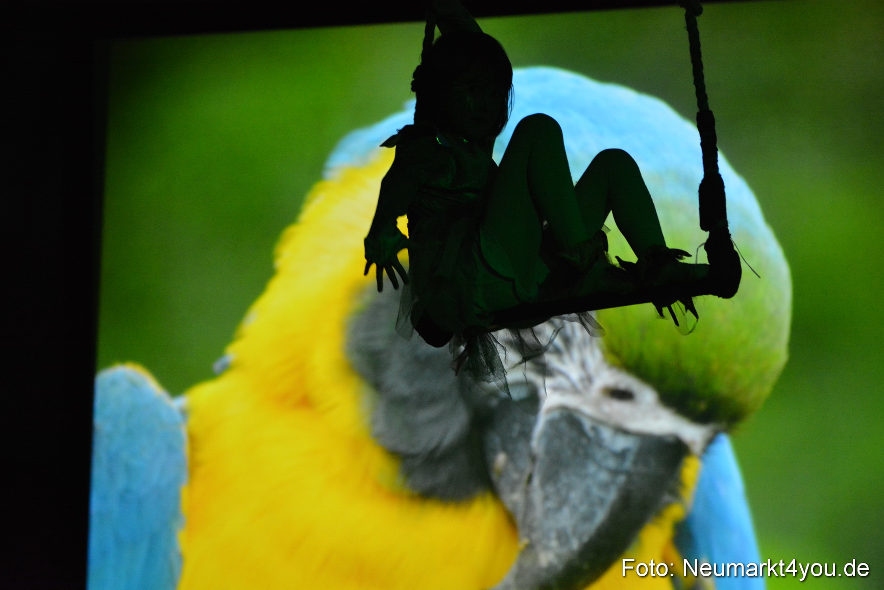 Hakuna Matata Circusverein 010416 0145