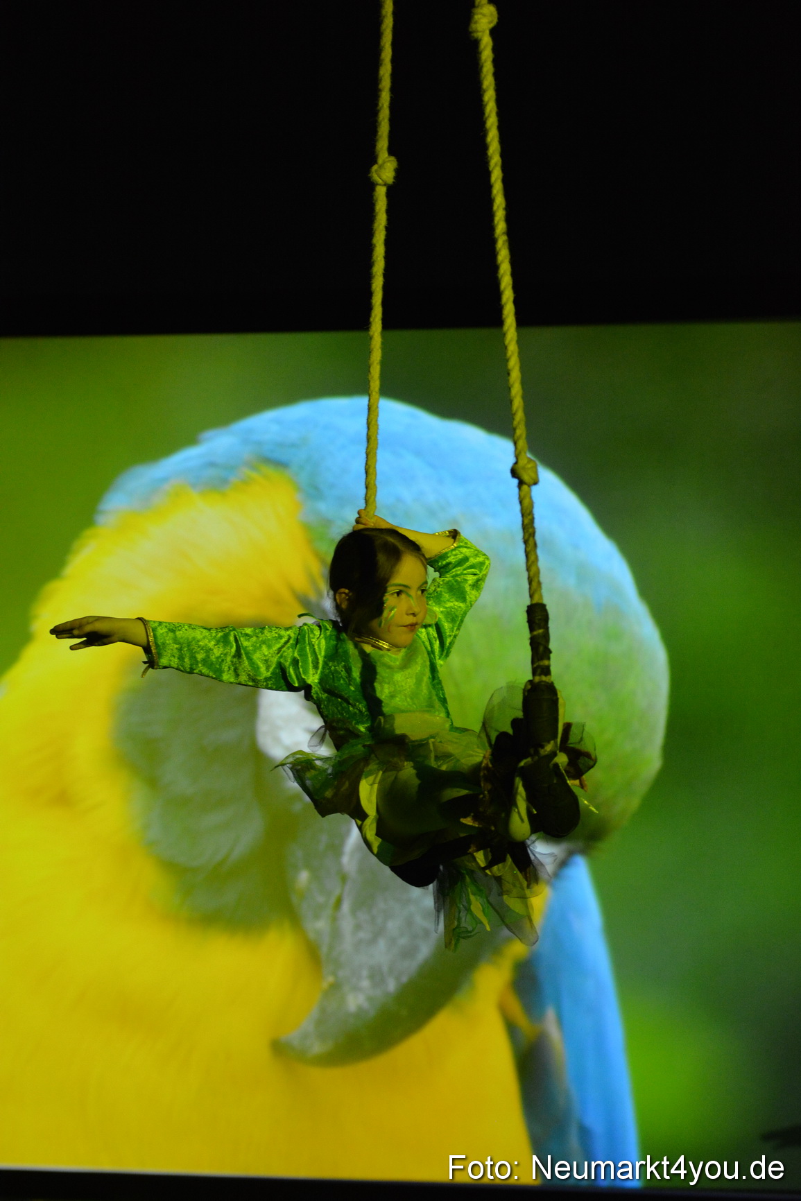 Hakuna Matata Circusverein 010416 0156