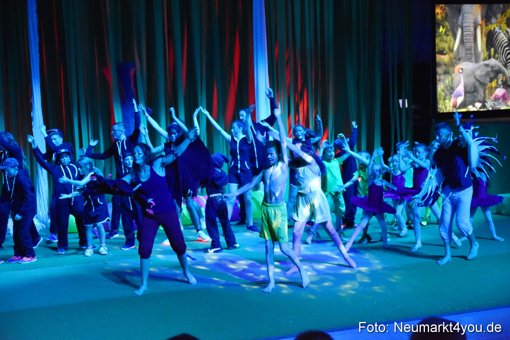 Hakuna Matata Circusverein 010416 0183