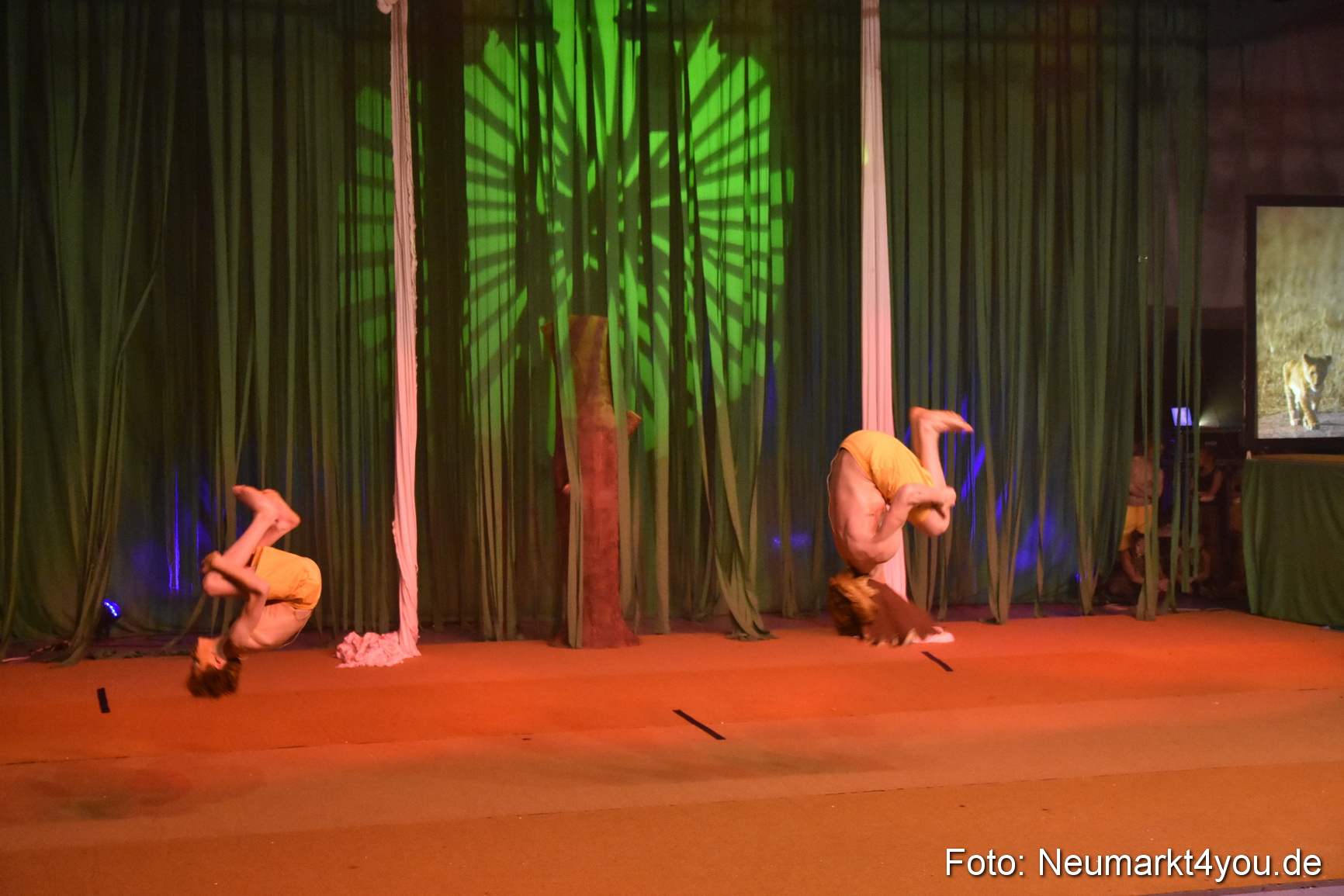 Hakuna Matata Circusverein 010416 0244