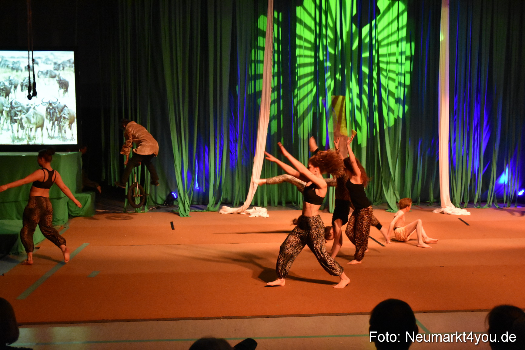 Hakuna Matata Circusverein 010416 0267