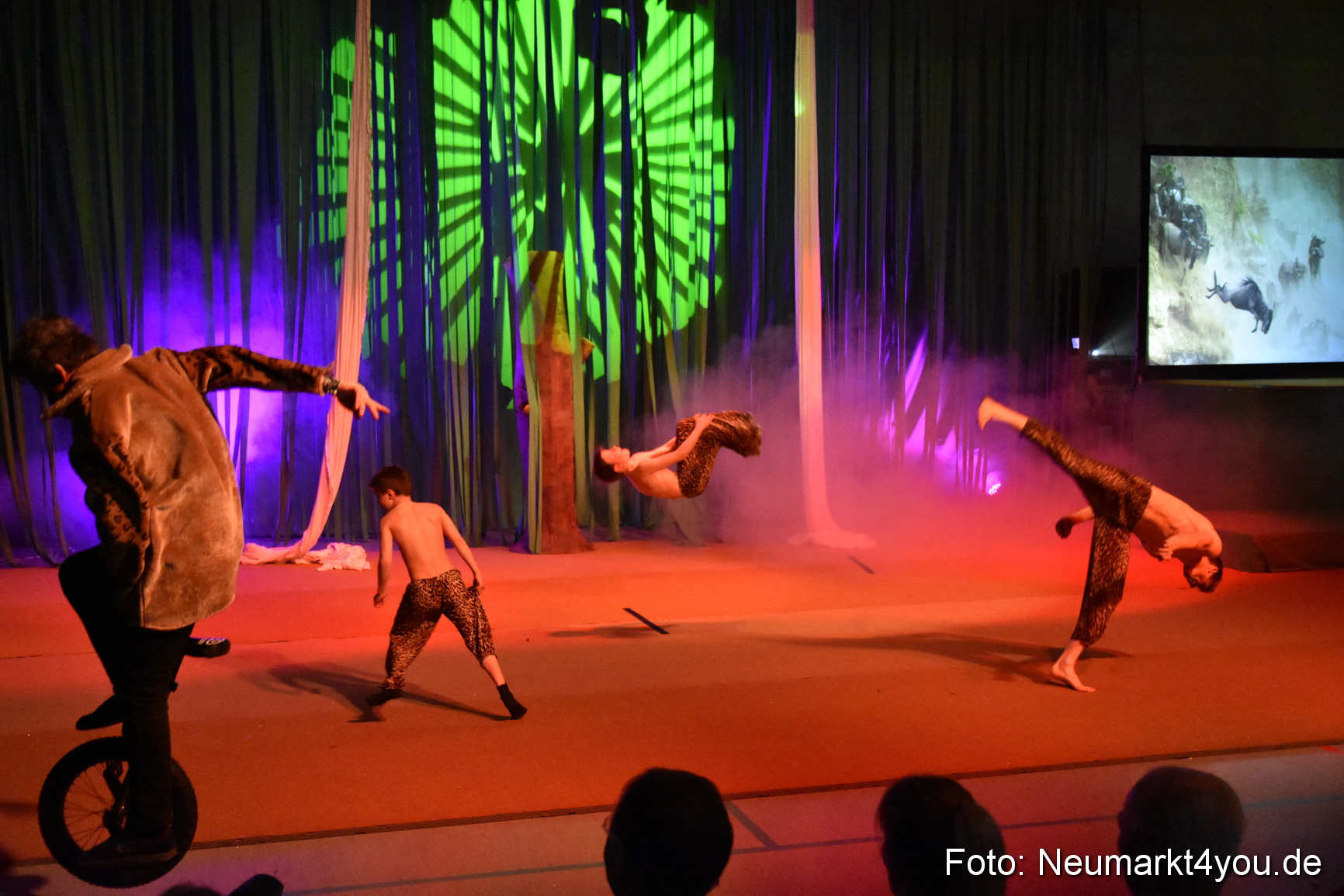 Hakuna Matata Circusverein 010416 0270
