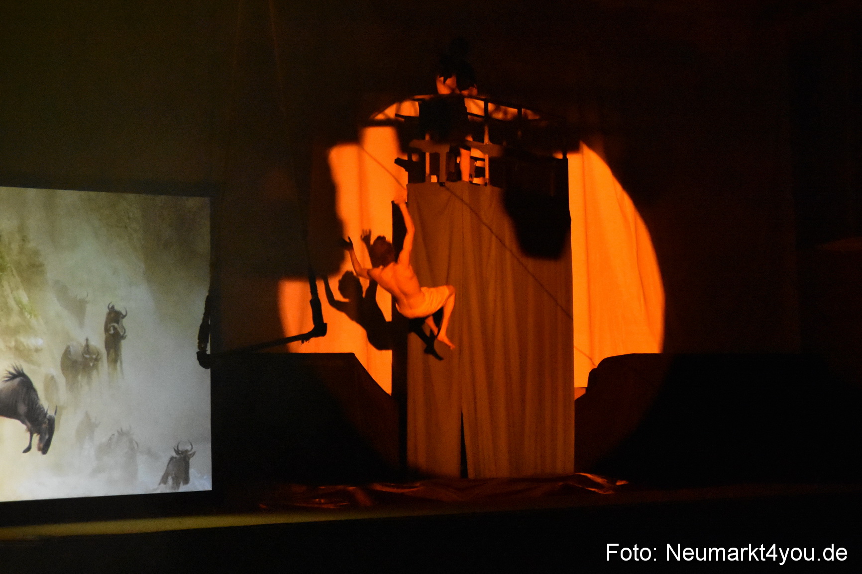 Hakuna Matata Circusverein 010416 0280