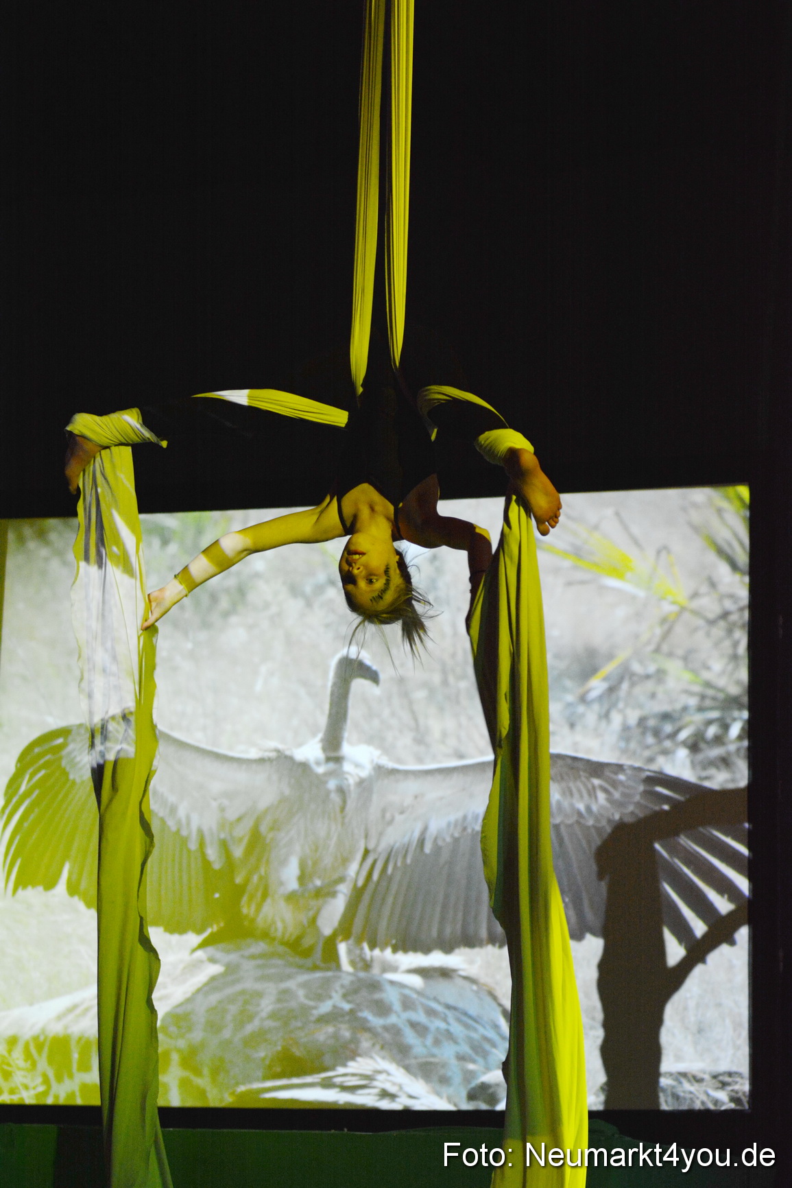 Hakuna Matata Circusverein 010416 0297