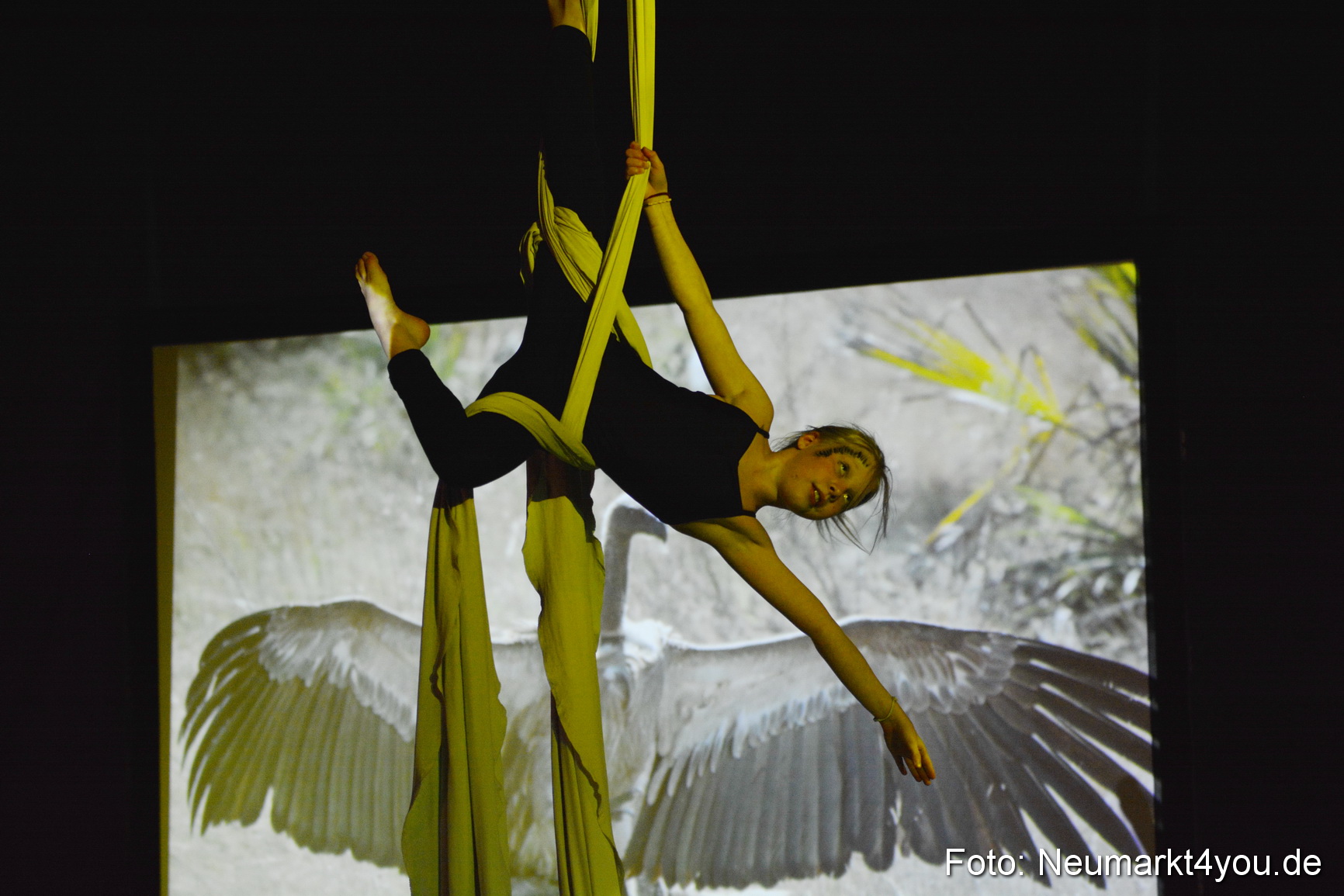 Hakuna Matata Circusverein 010416 0309