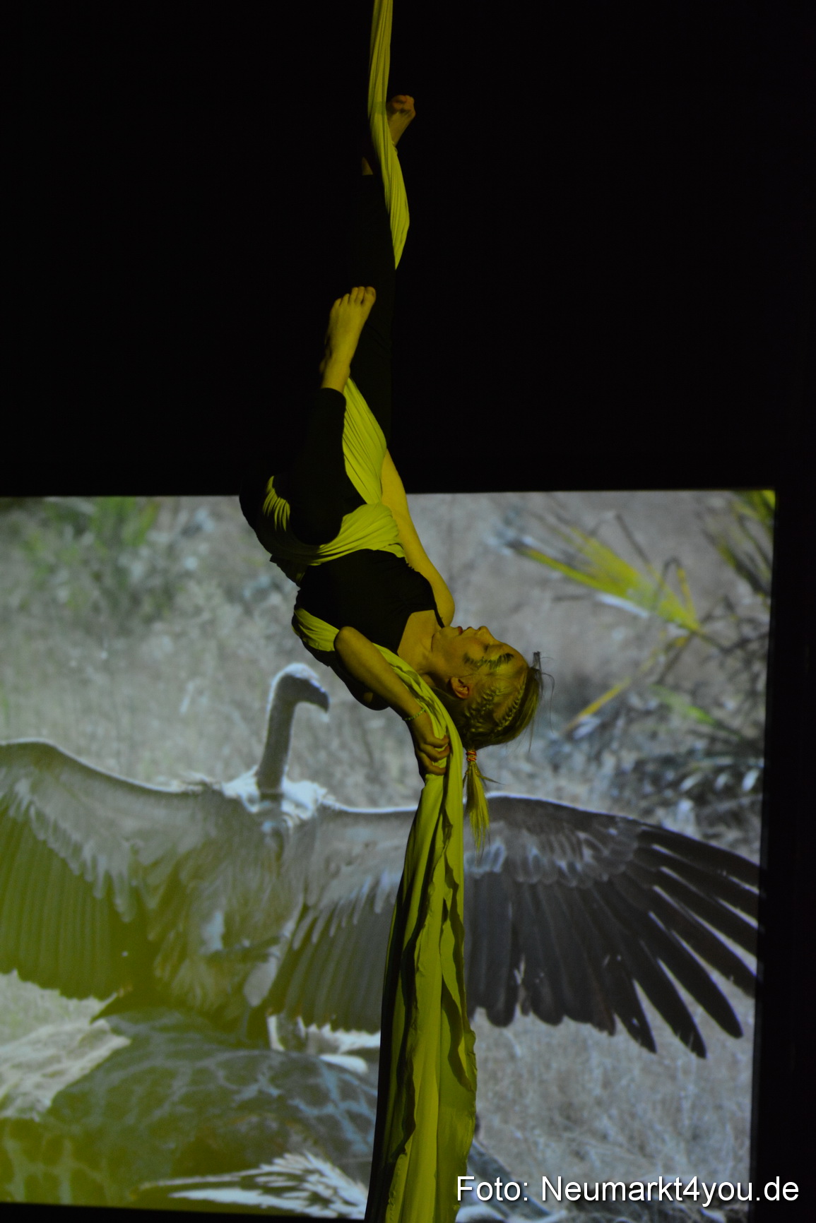 Hakuna Matata Circusverein 010416 0313