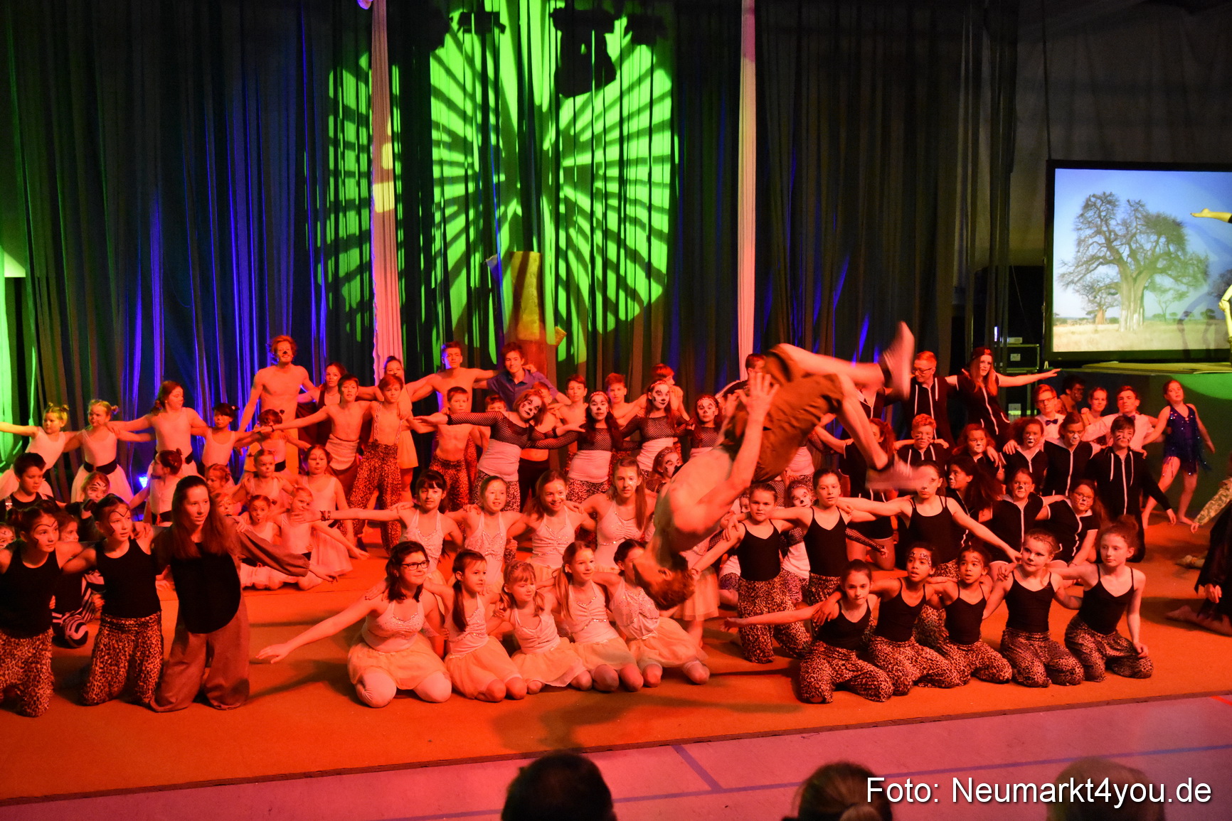 Hakuna Matata Circusverein 010416 0500