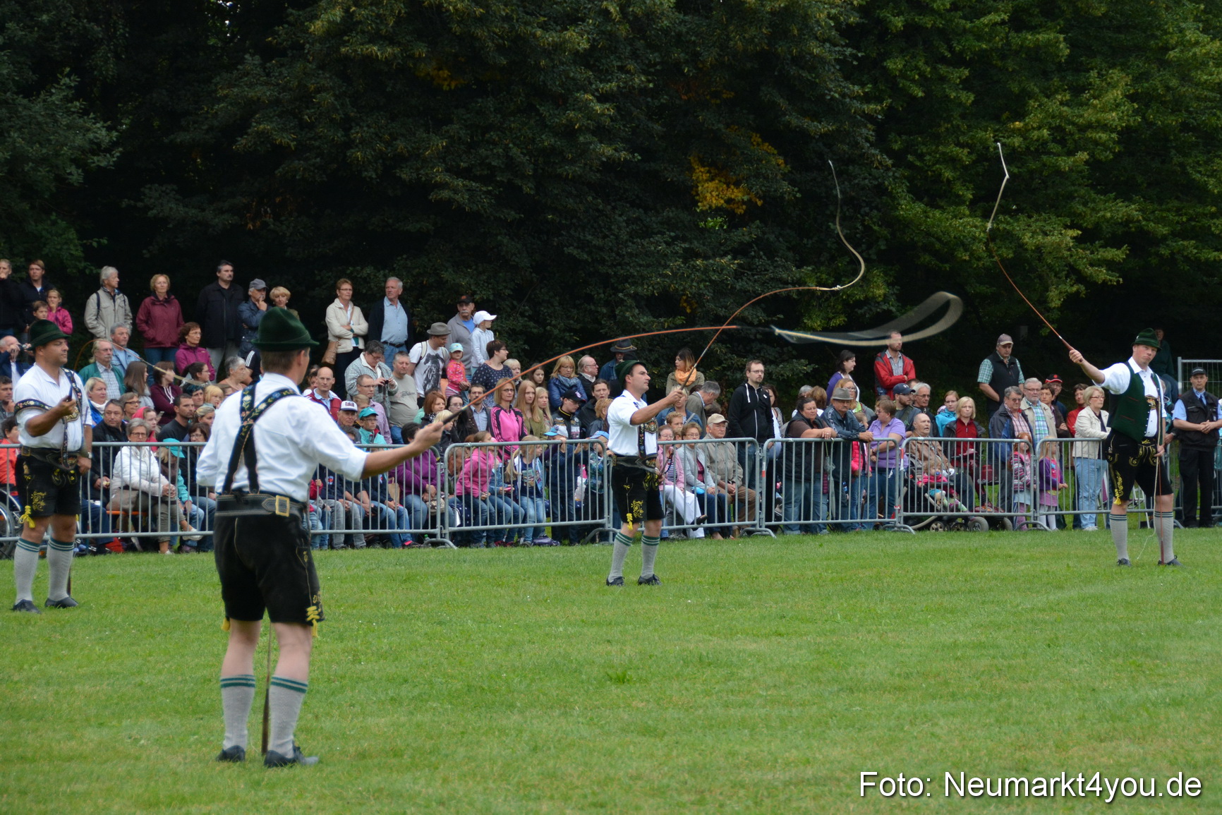 Pferde und Fohlenschau 2016 0003