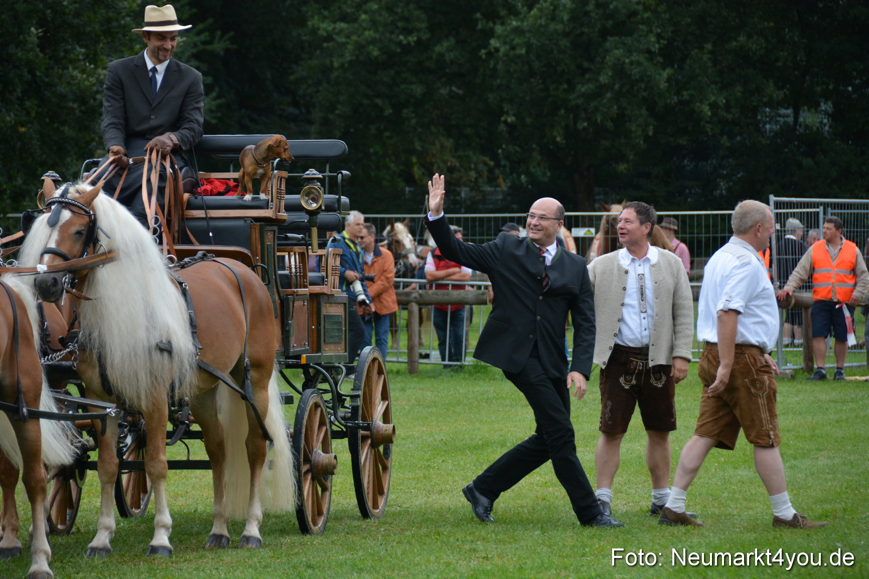 Pferde und Fohlenschau 2016 0007