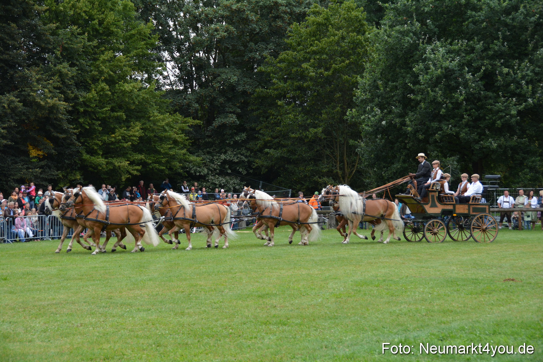 Pferde und Fohlenschau 2016 0010