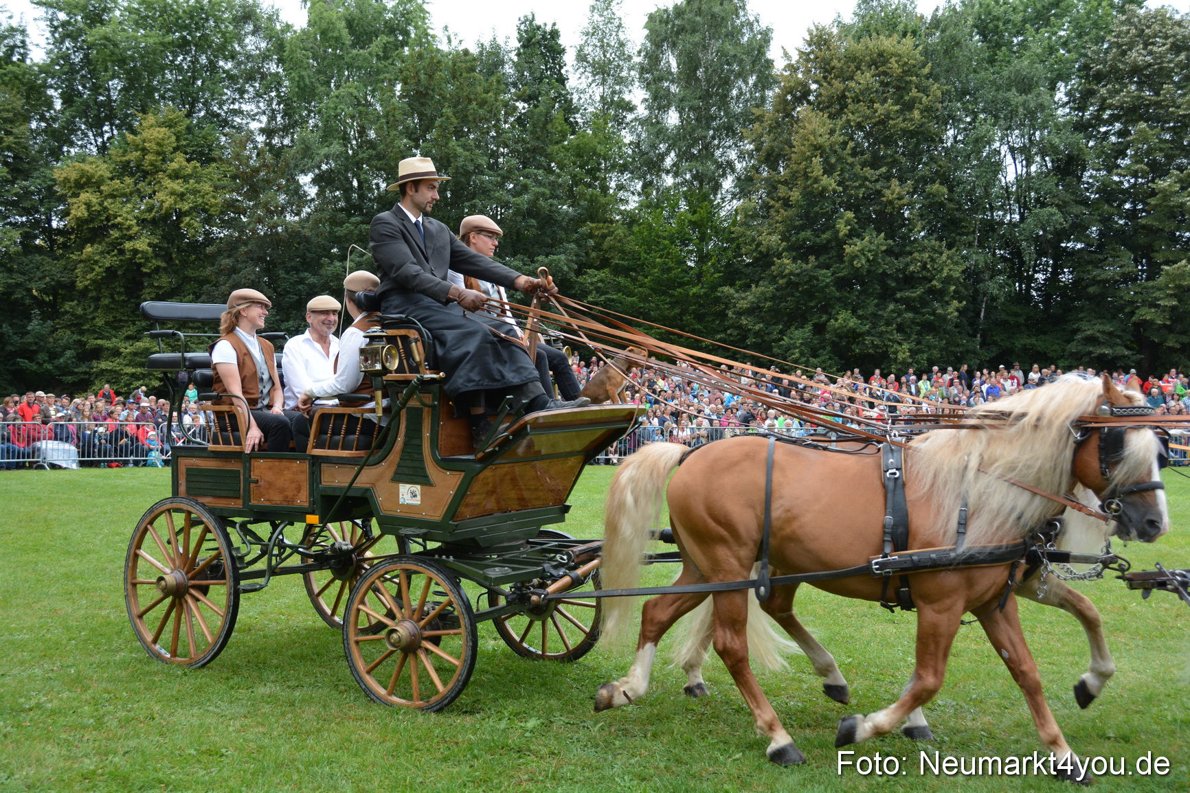 Pferde und Fohlenschau 2016 0013