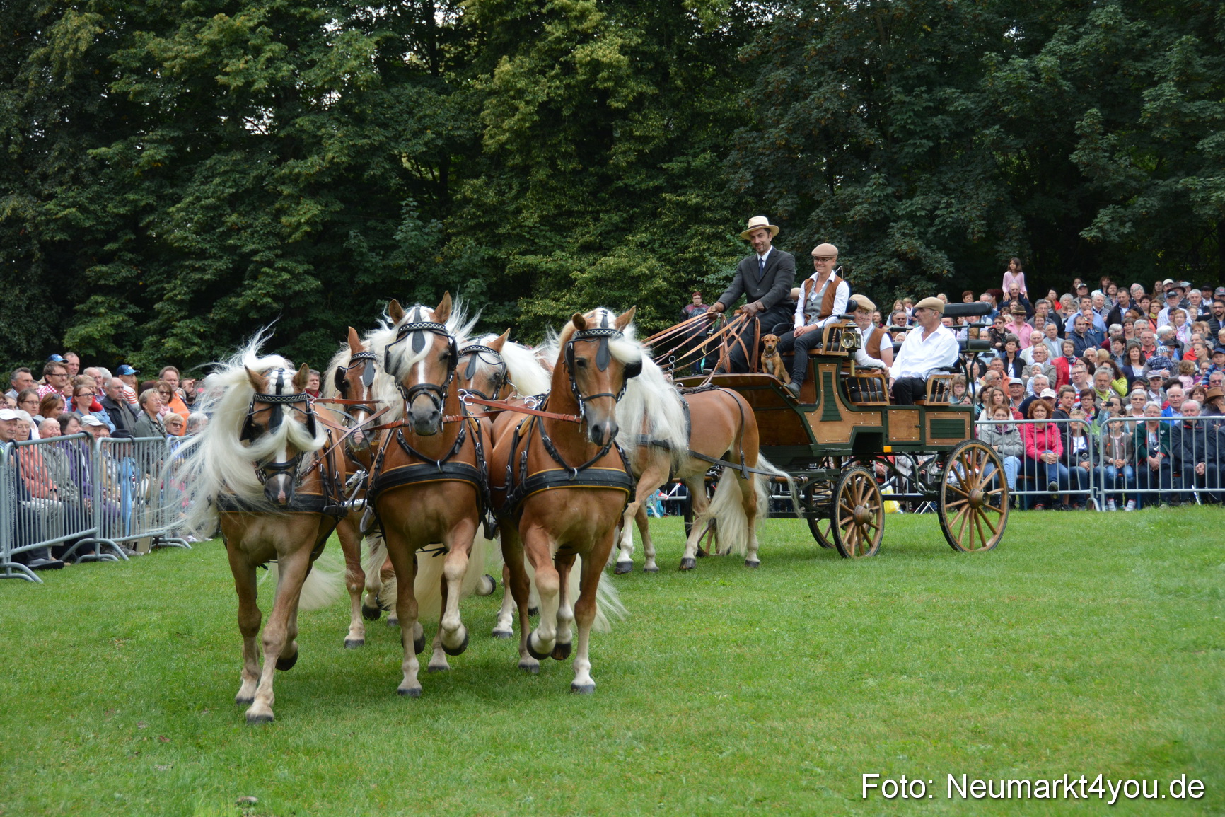 Pferde und Fohlenschau 2016 0014