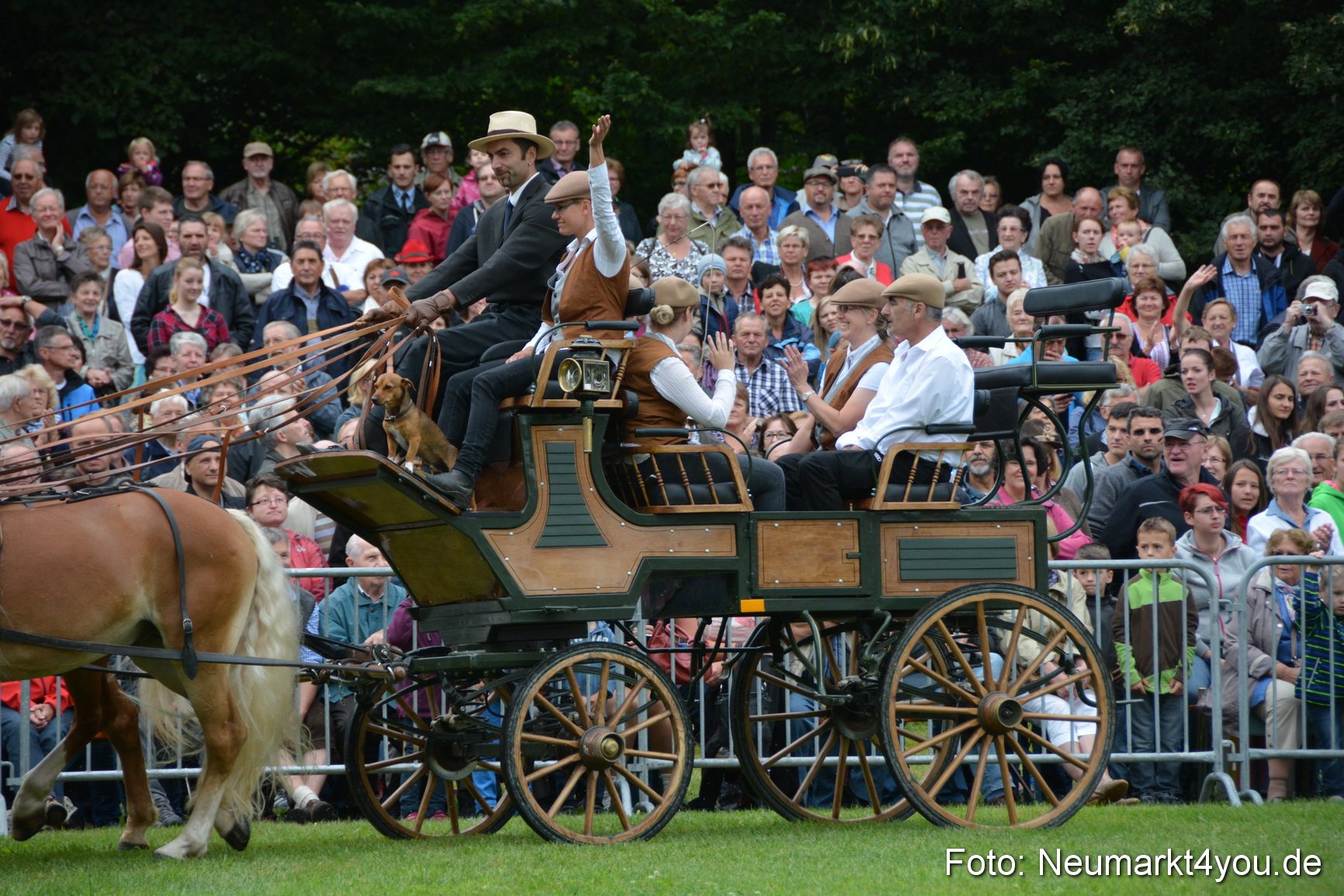 Pferde und Fohlenschau 2016 0015