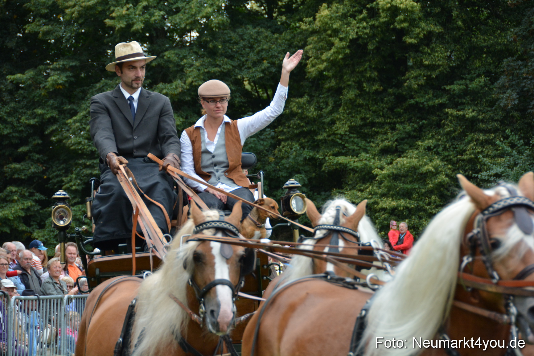 Pferde und Fohlenschau 2016 0016
