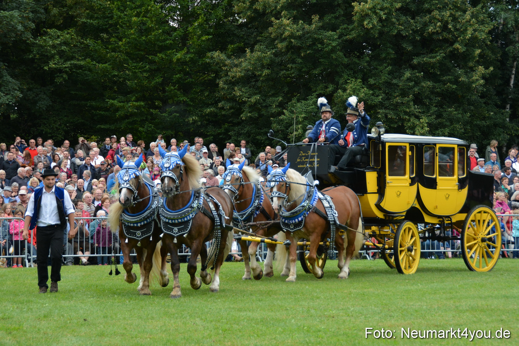 Pferde und Fohlenschau 2016 0024
