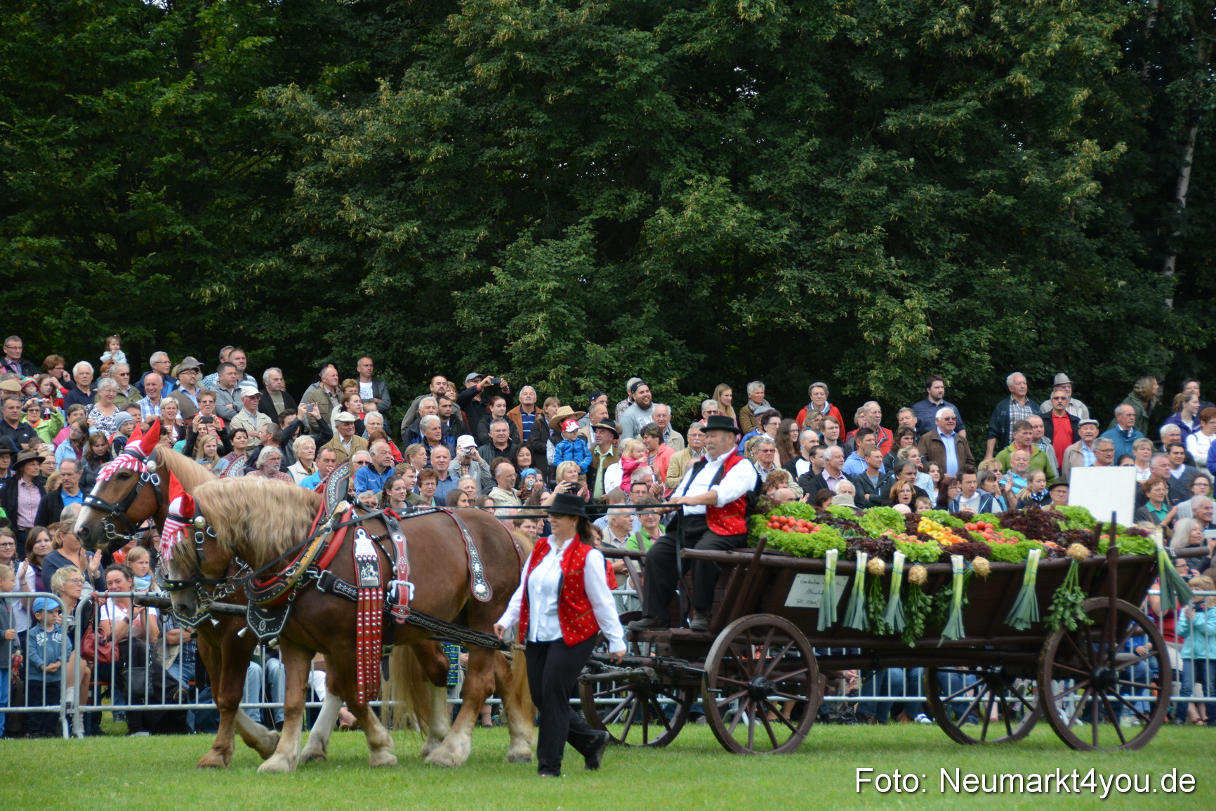 Pferde und Fohlenschau 2016 0025