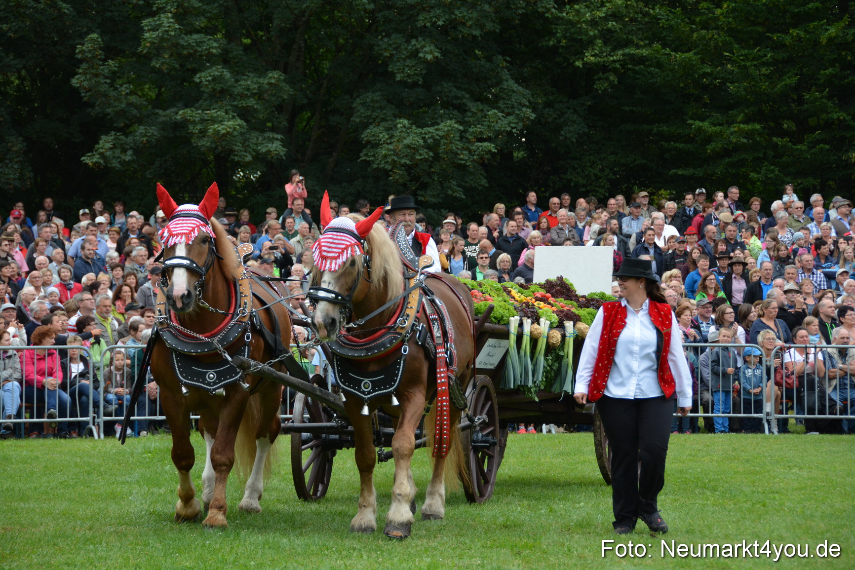 Pferde und Fohlenschau 2016 0026
