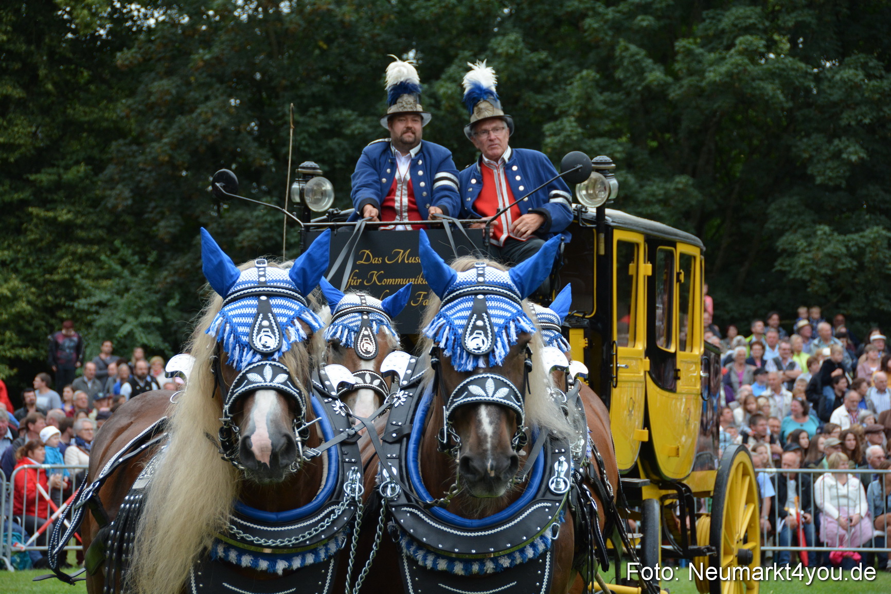Pferde und Fohlenschau 2016 0038