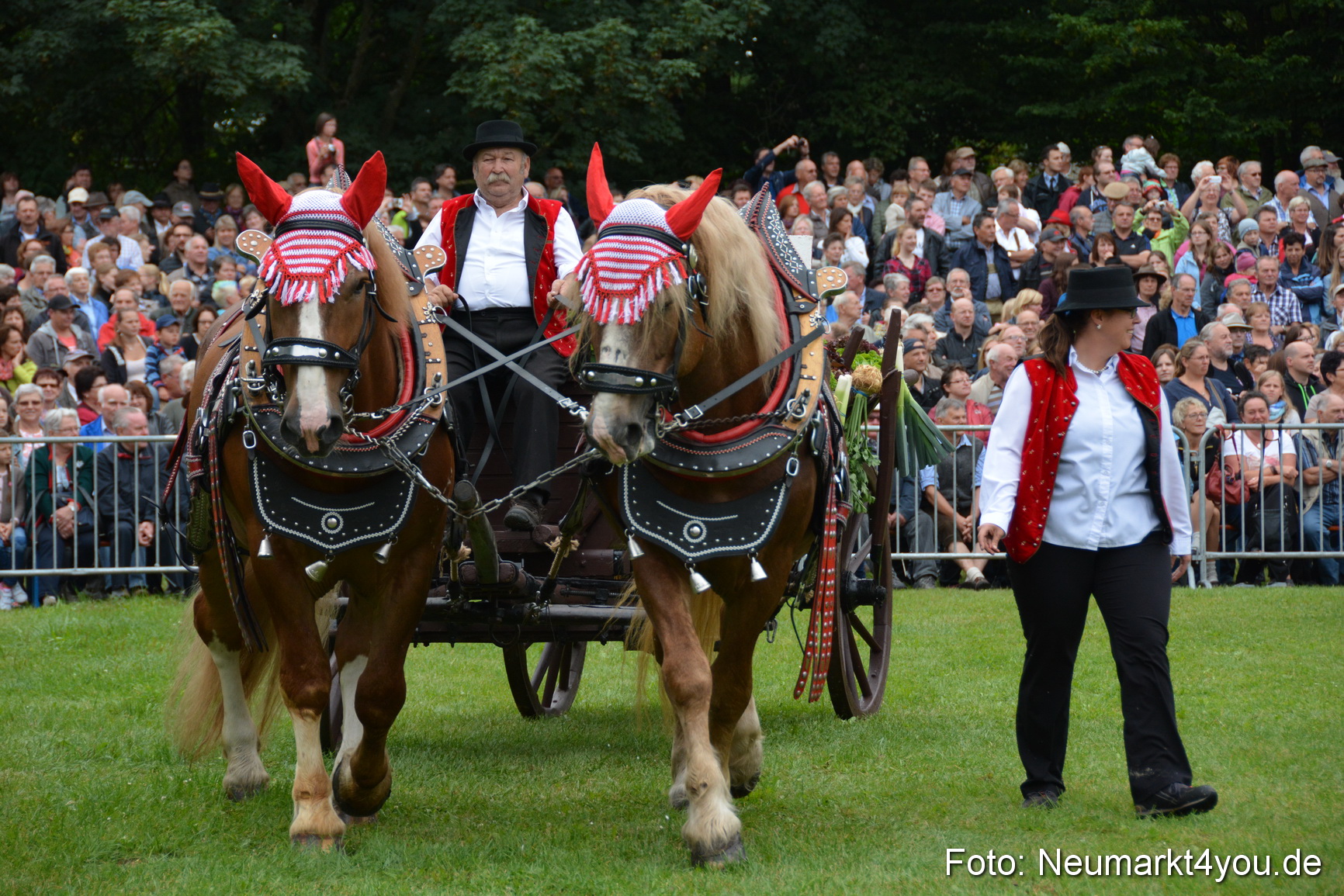 Pferde und Fohlenschau 2016 0040