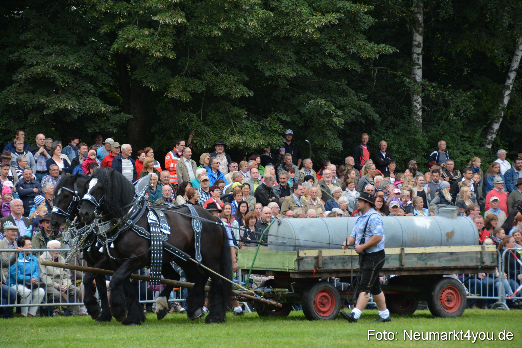Pferde und Fohlenschau 2016 0042