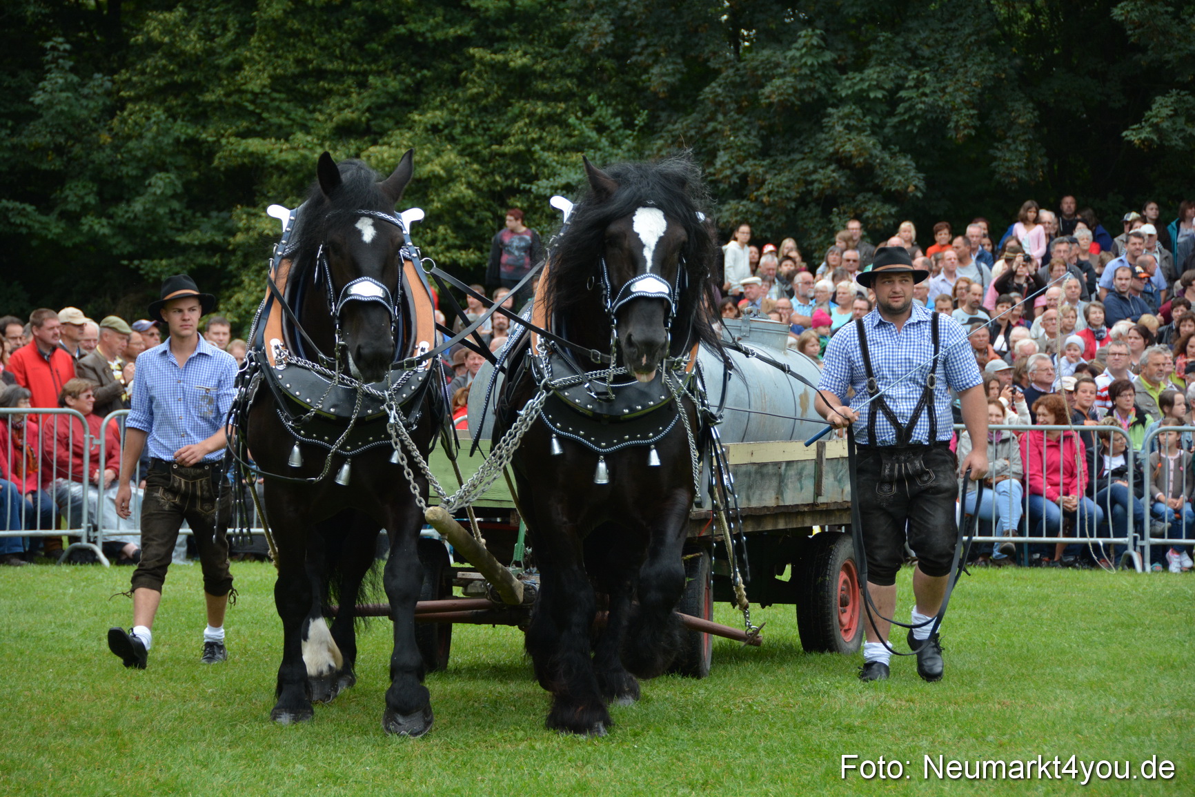 Pferde und Fohlenschau 2016 0045