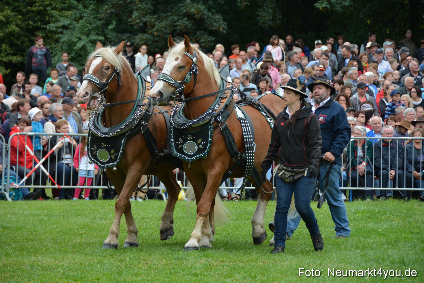 Pferde und Fohlenschau 2016 0047