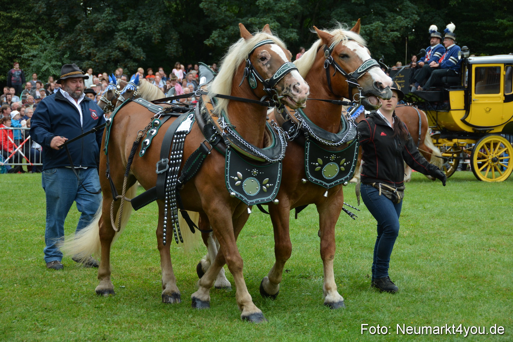 Pferde und Fohlenschau 2016 0048
