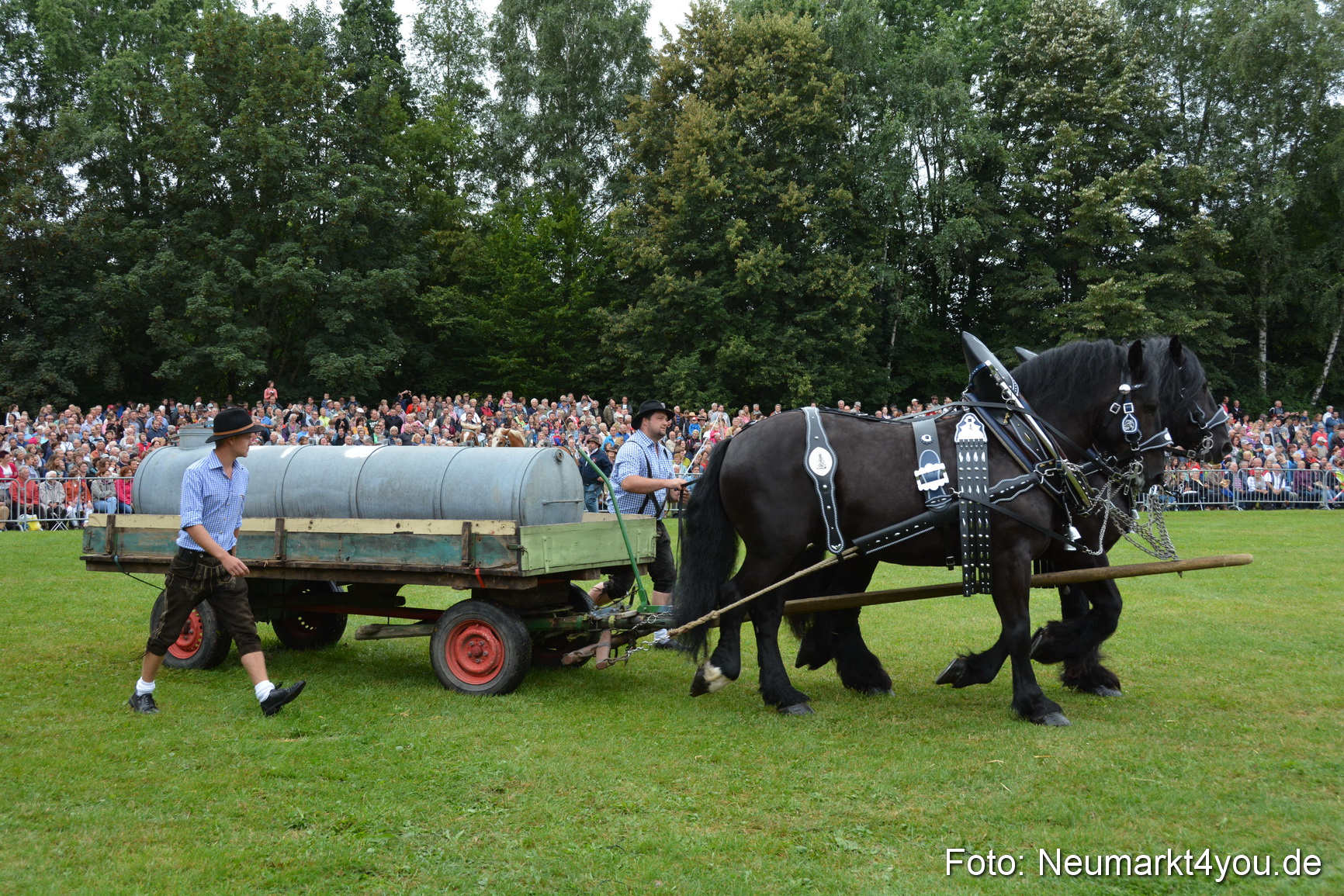 Pferde und Fohlenschau 2016 0053