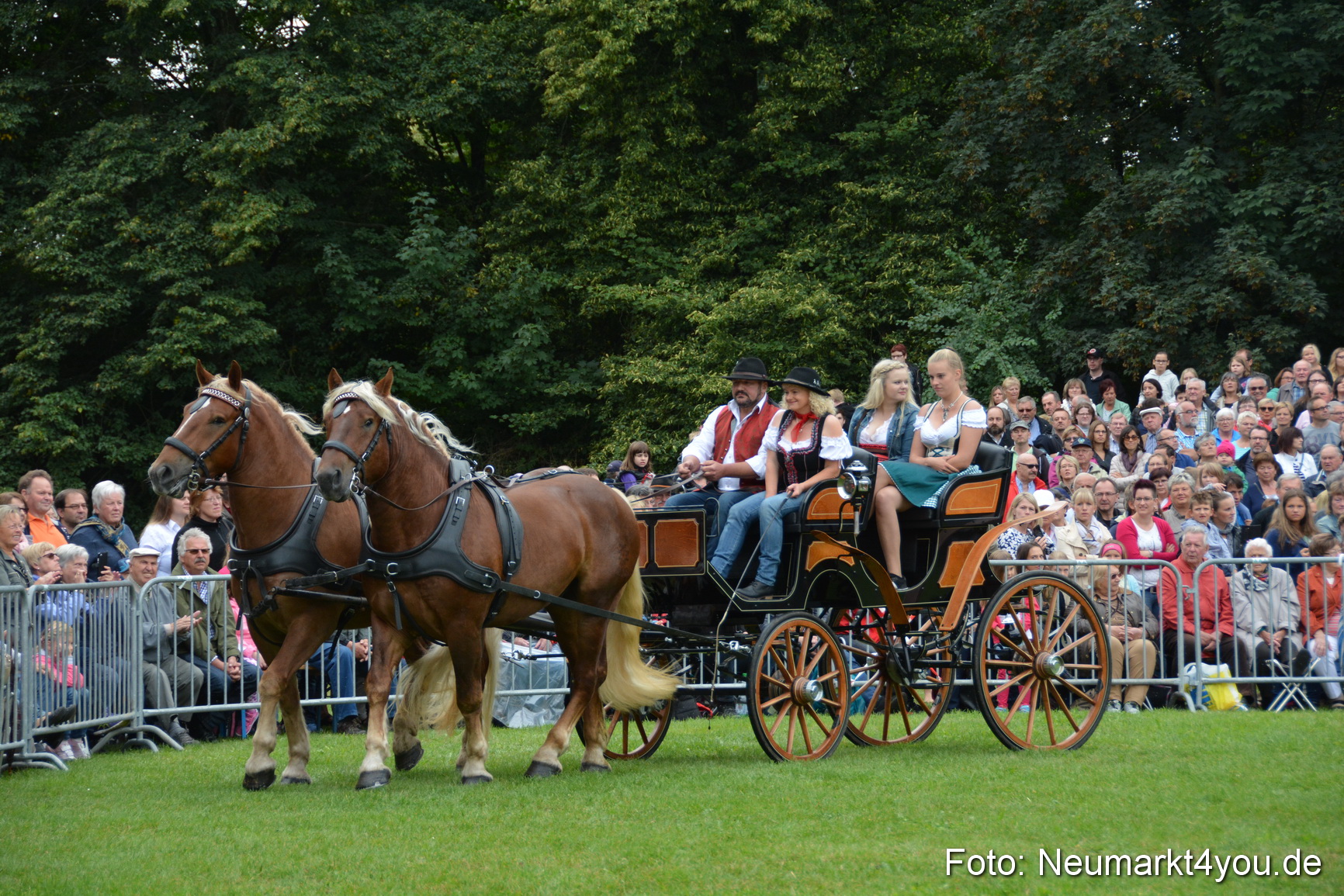 Pferde und Fohlenschau 2016 0055