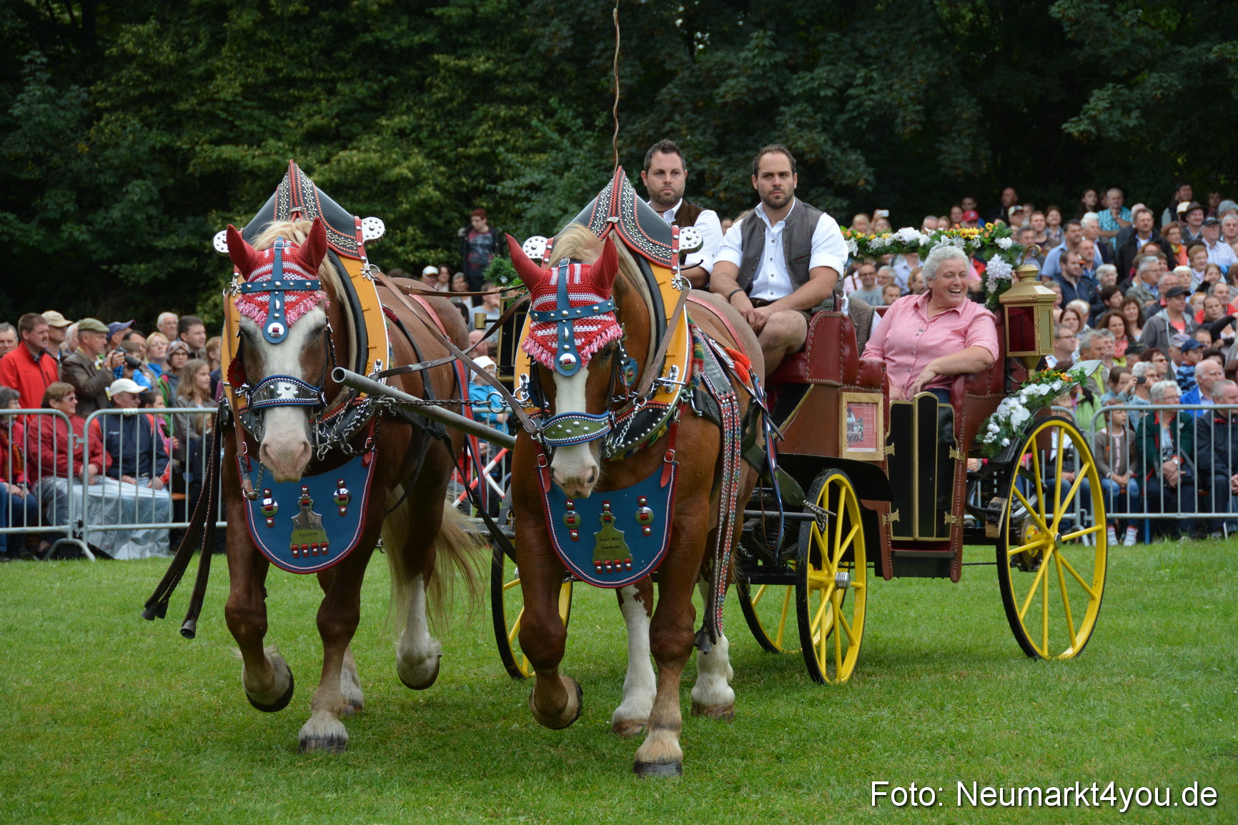 Pferde und Fohlenschau 2016 0057