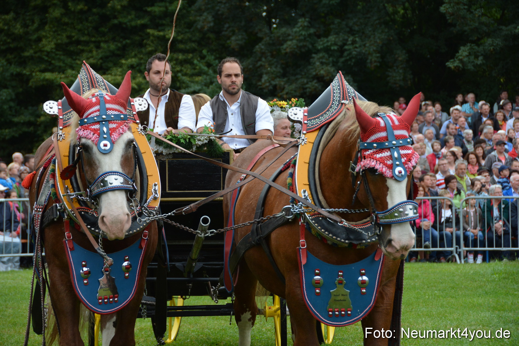 Pferde und Fohlenschau 2016 0058