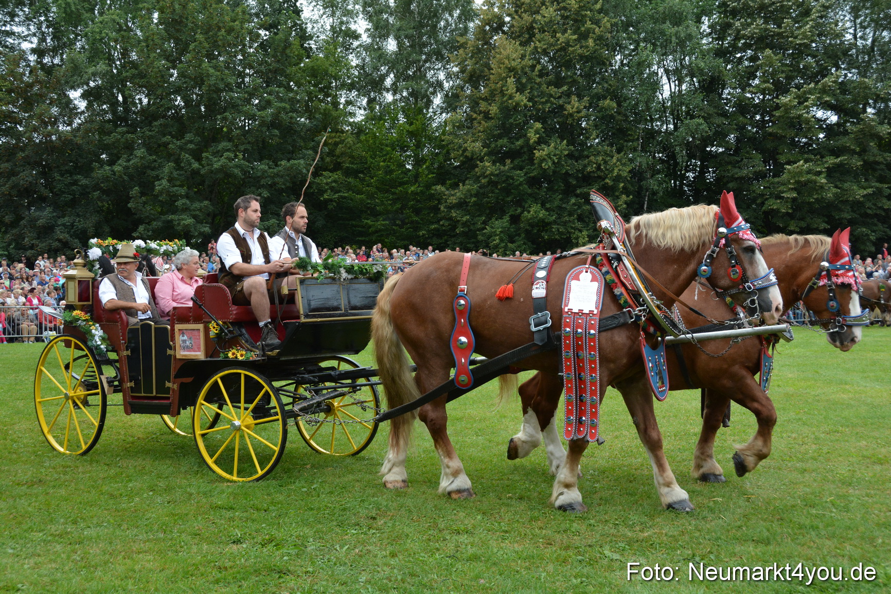 Pferde und Fohlenschau 2016 0059