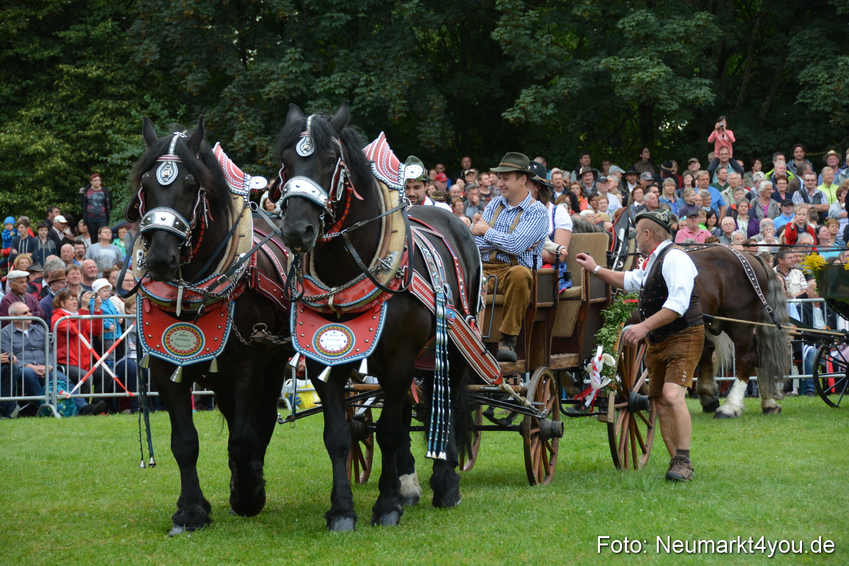 Pferde und Fohlenschau 2016 0060