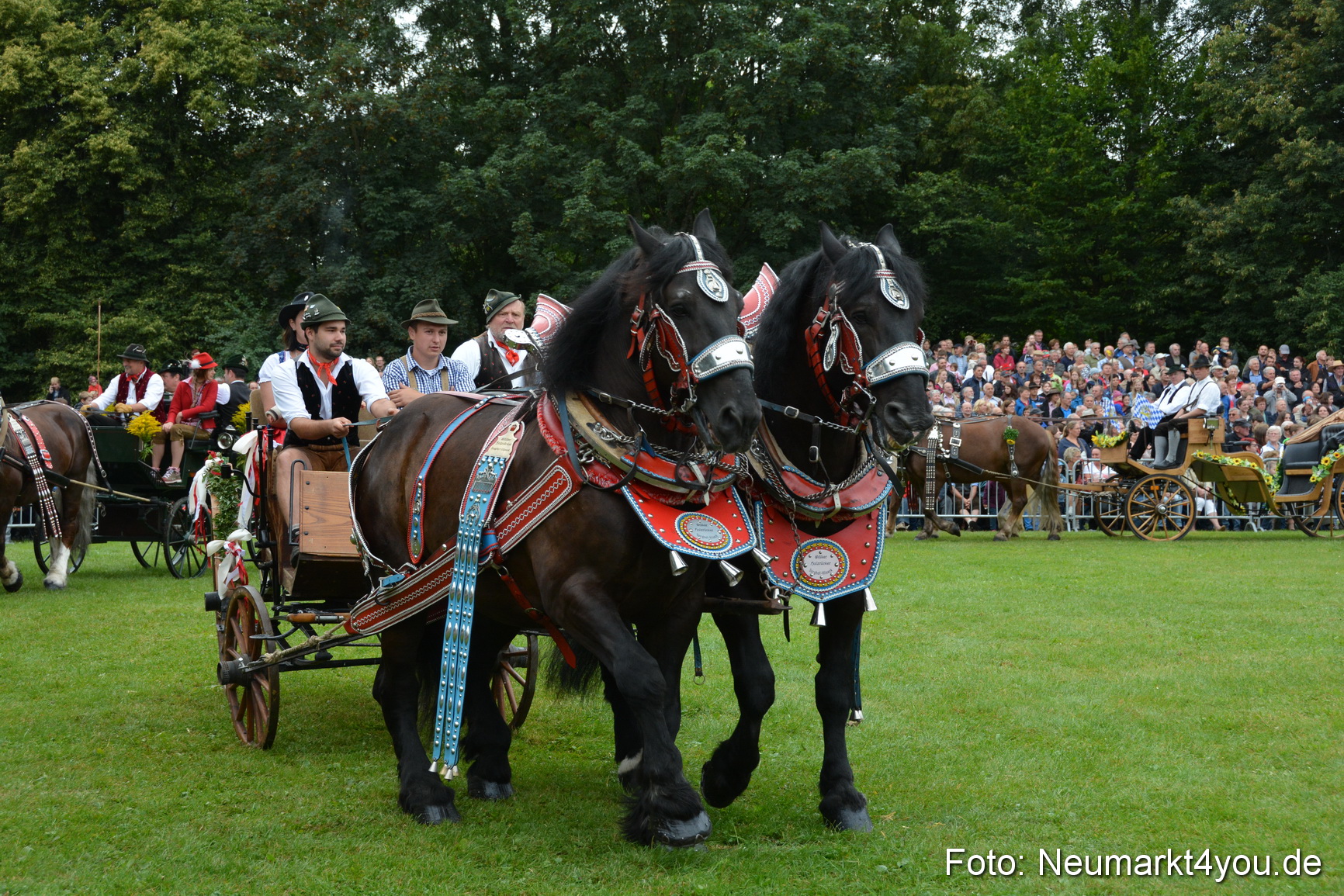 Pferde und Fohlenschau 2016 0061