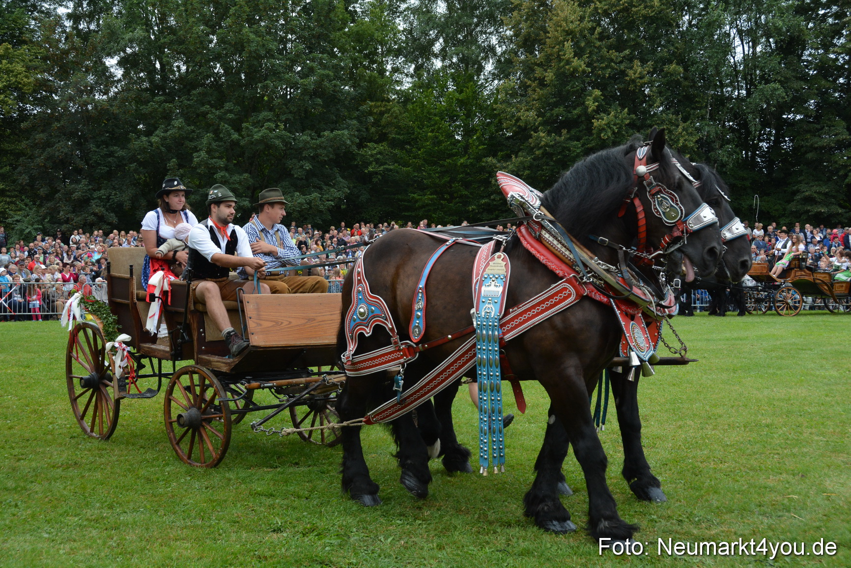 Pferde und Fohlenschau 2016 0062