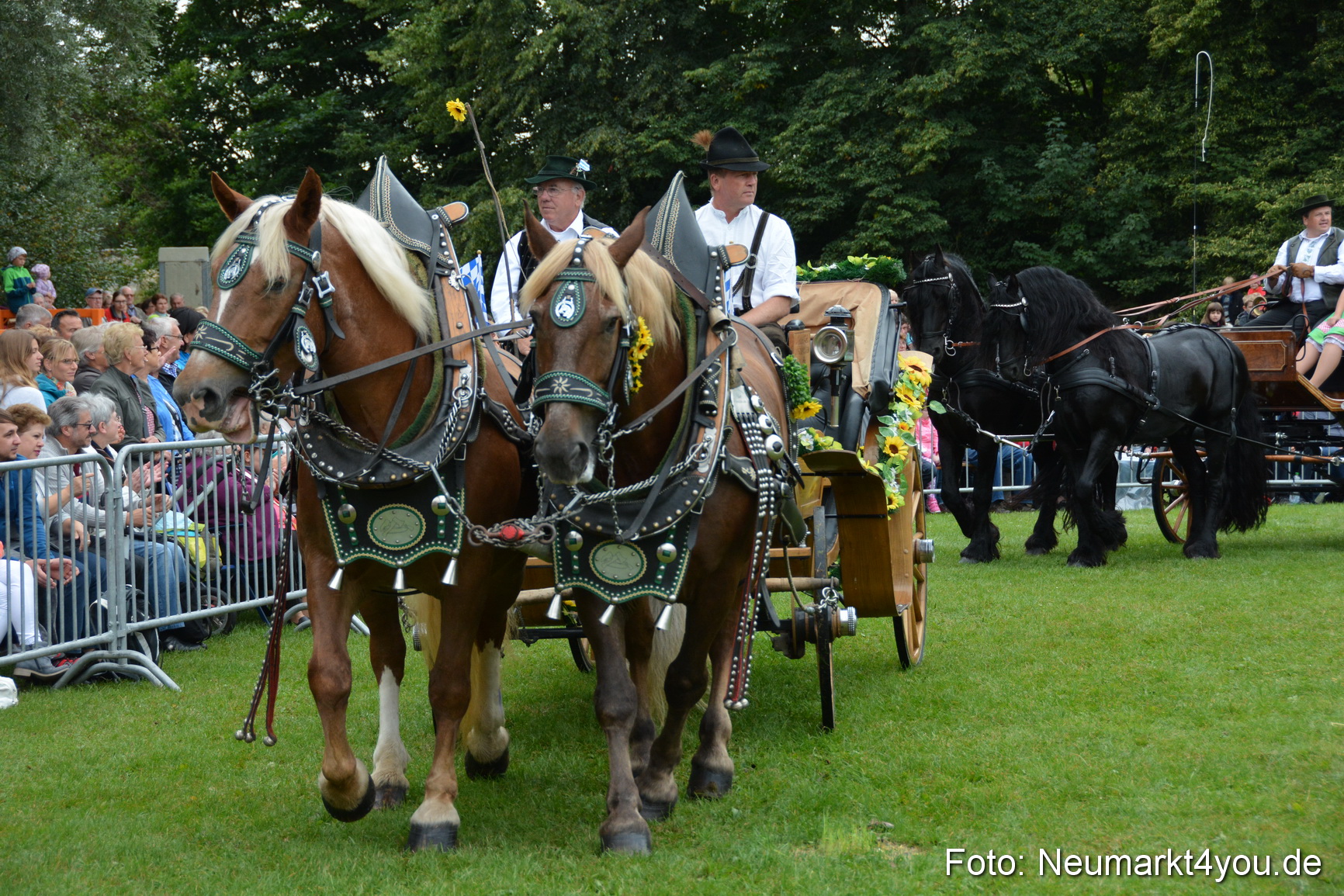 Pferde und Fohlenschau 2016 0065