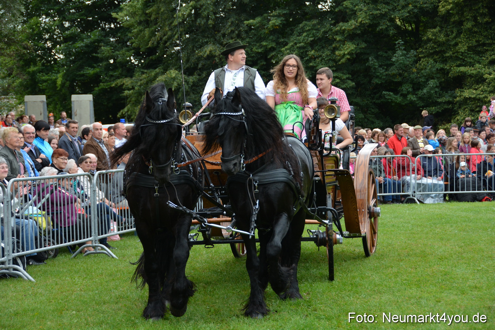 Pferde und Fohlenschau 2016 0067