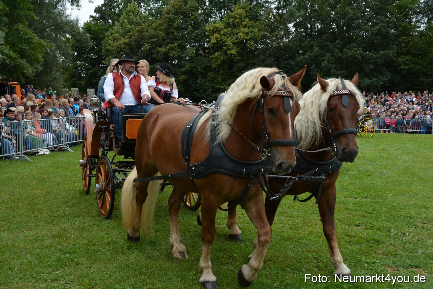 Pferde und Fohlenschau 2016 0068