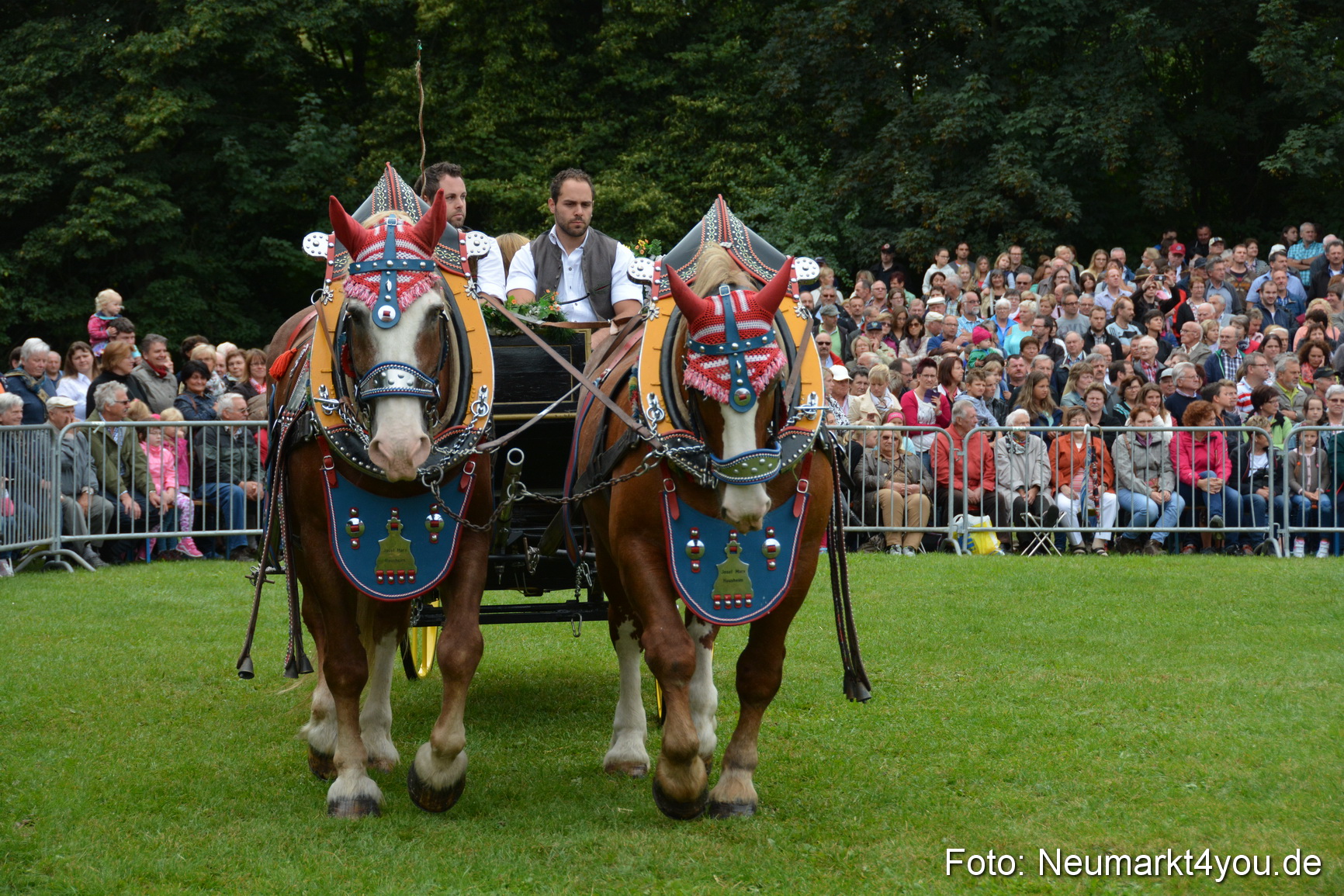 Pferde und Fohlenschau 2016 0069
