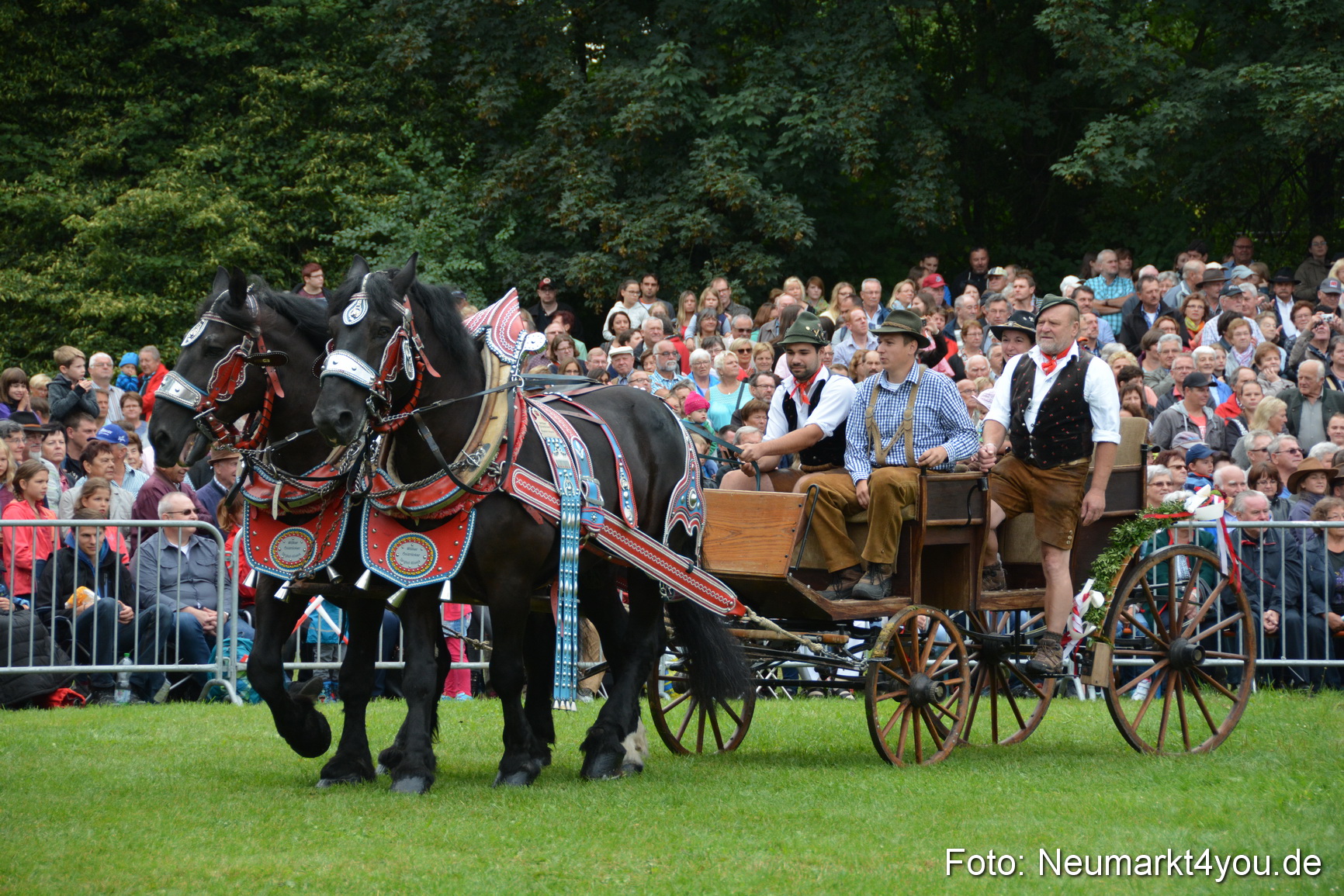 Pferde und Fohlenschau 2016 0073