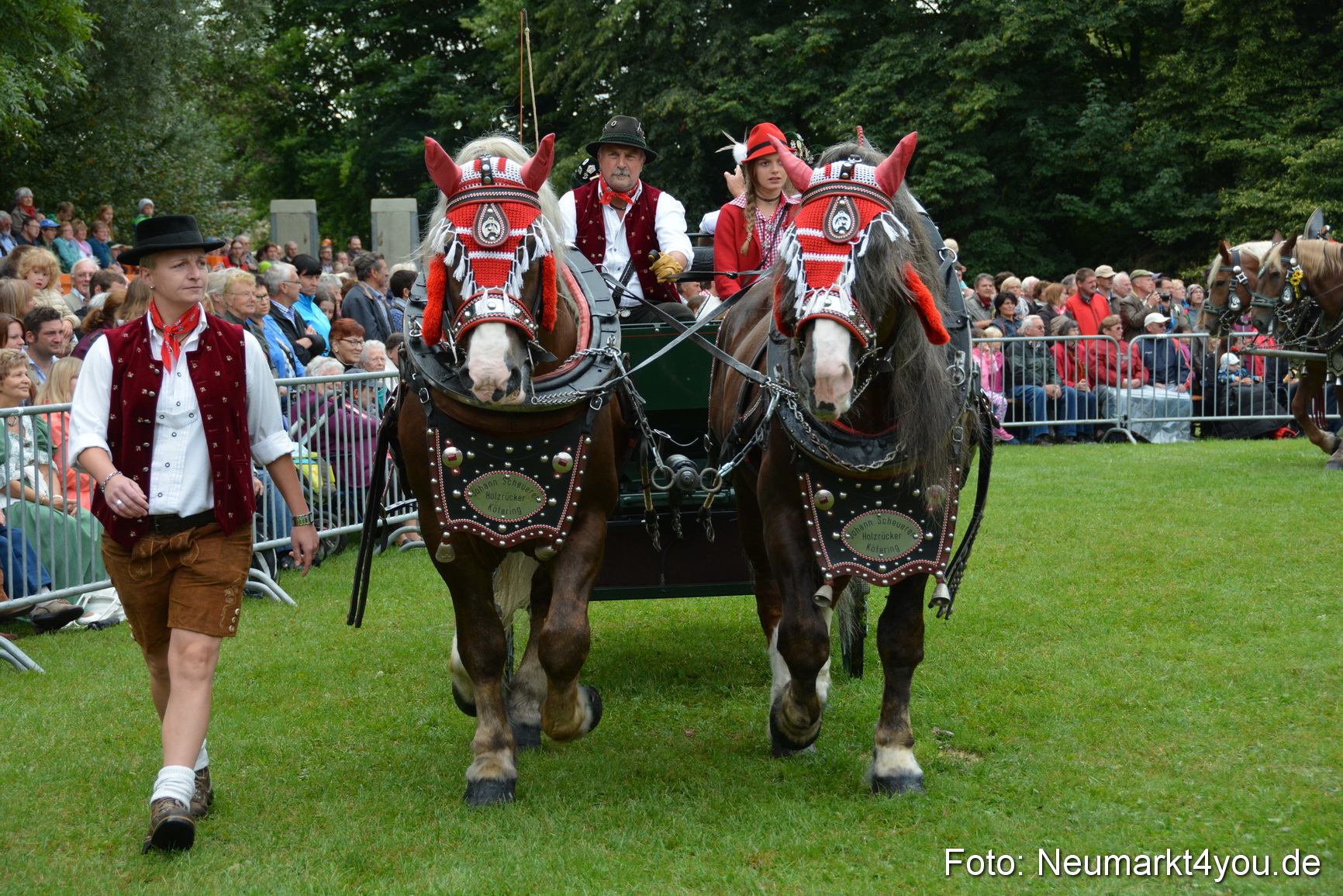 Pferde und Fohlenschau 2016 0075