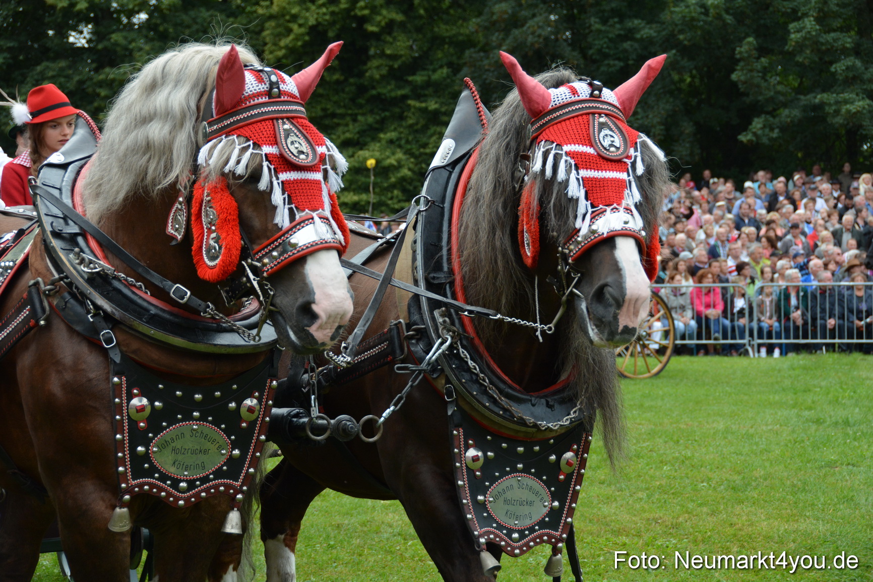 Pferde und Fohlenschau 2016 0076