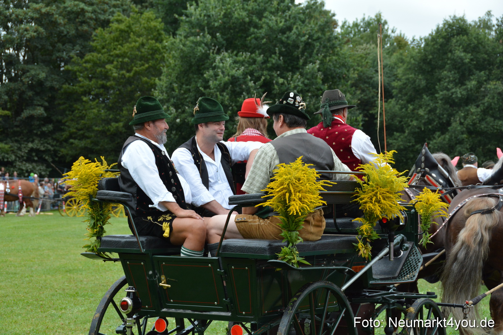 Pferde und Fohlenschau 2016 0077