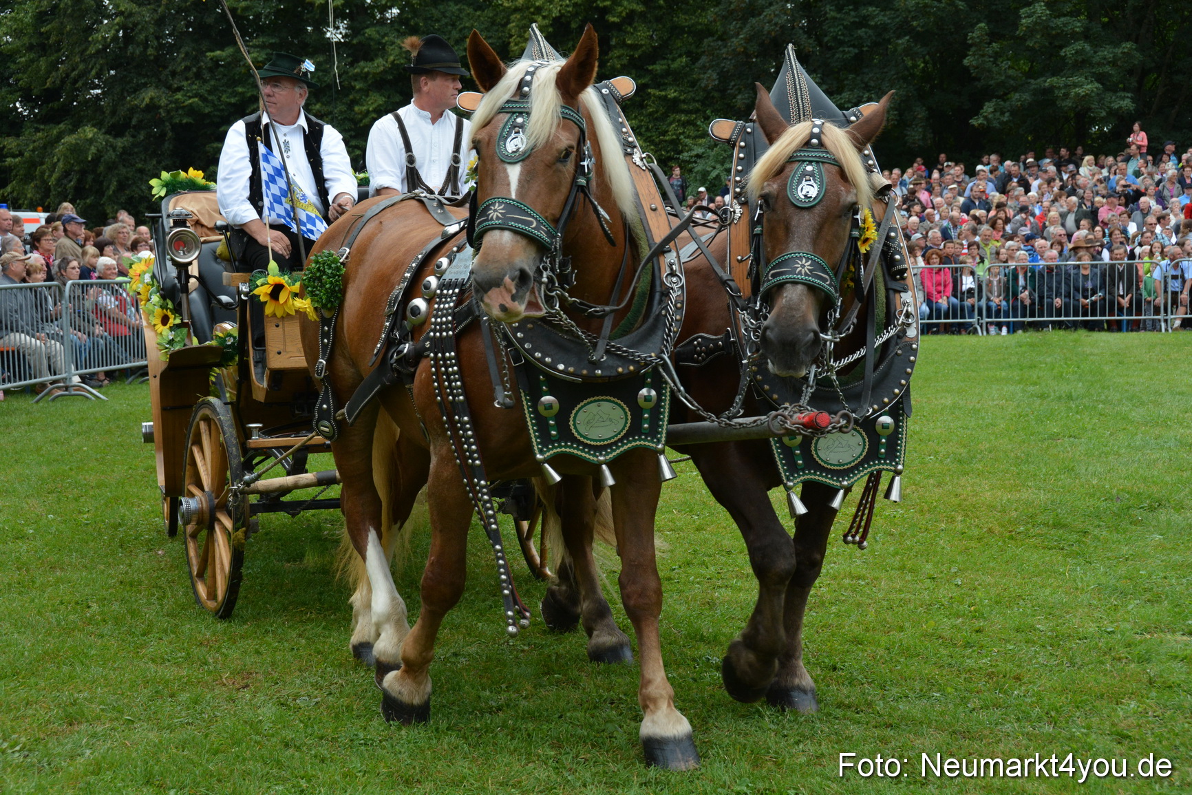 Pferde und Fohlenschau 2016 0078