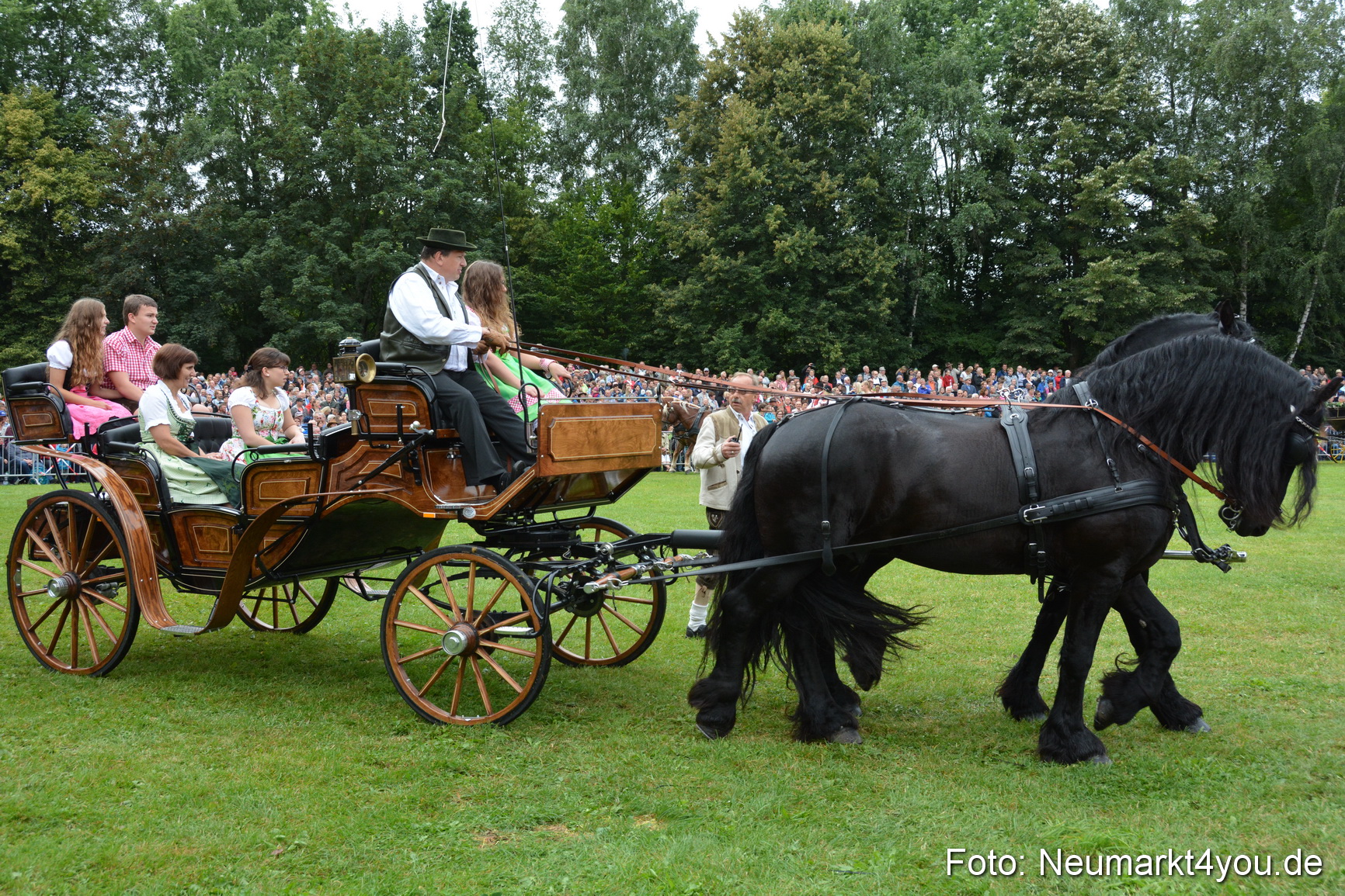 Pferde und Fohlenschau 2016 0080
