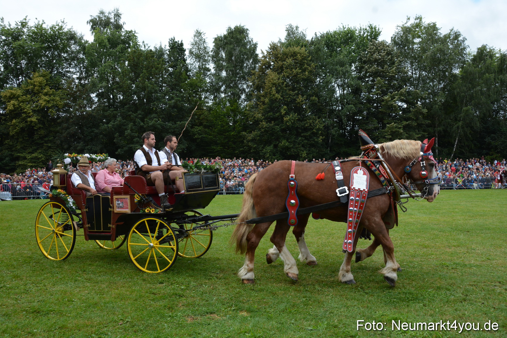 Pferde und Fohlenschau 2016 0081