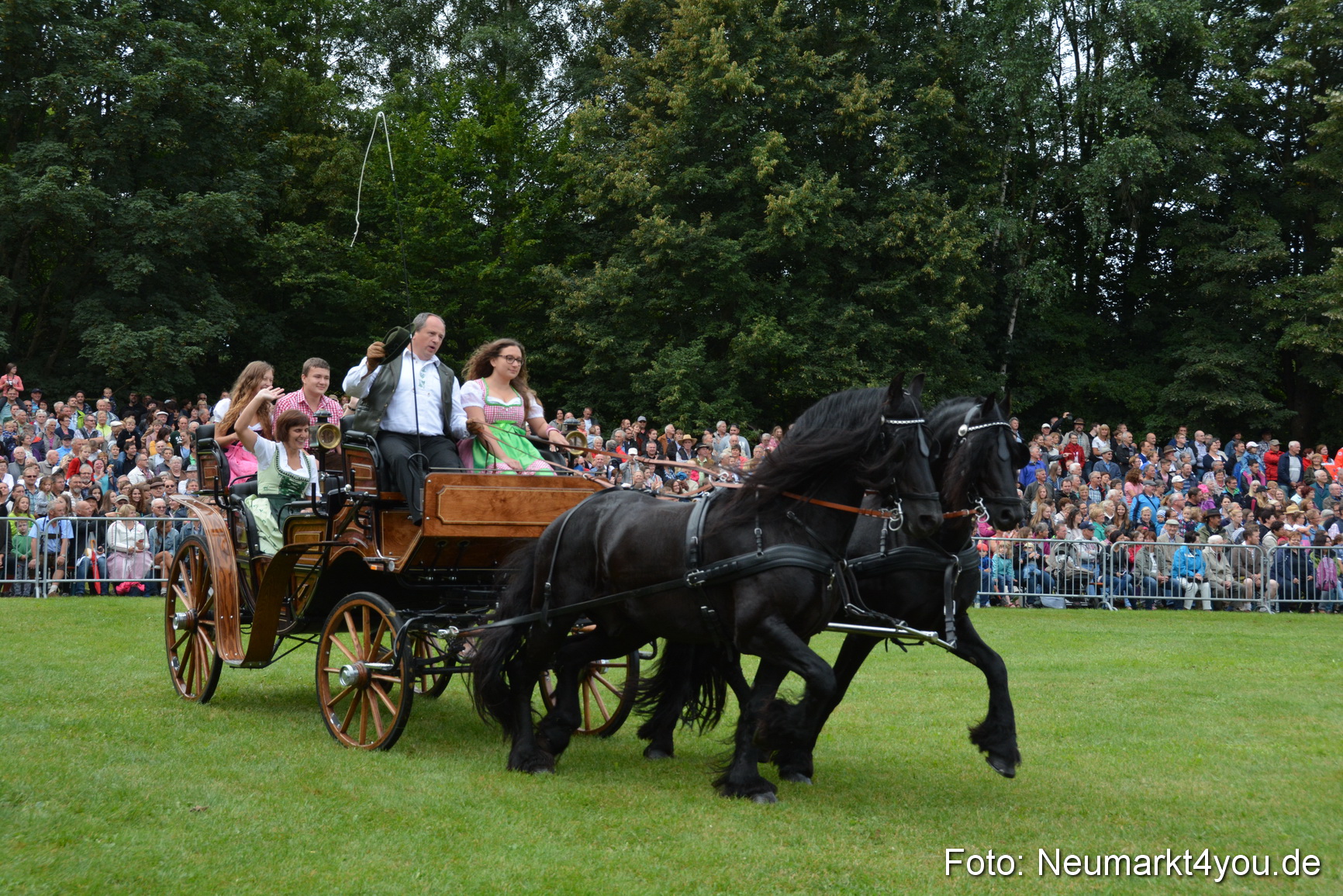Pferde und Fohlenschau 2016 0082