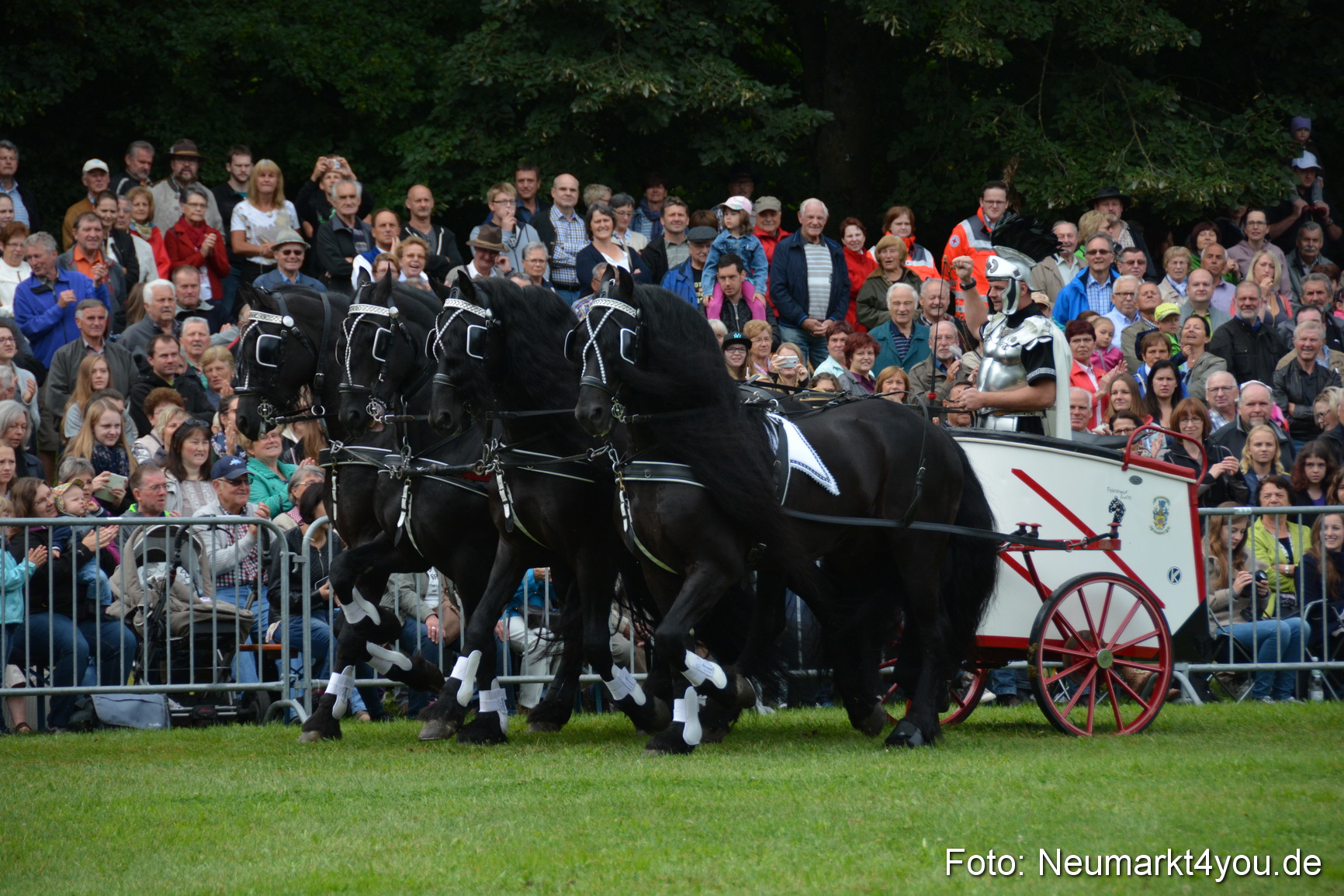 Pferde und Fohlenschau 2016 0083